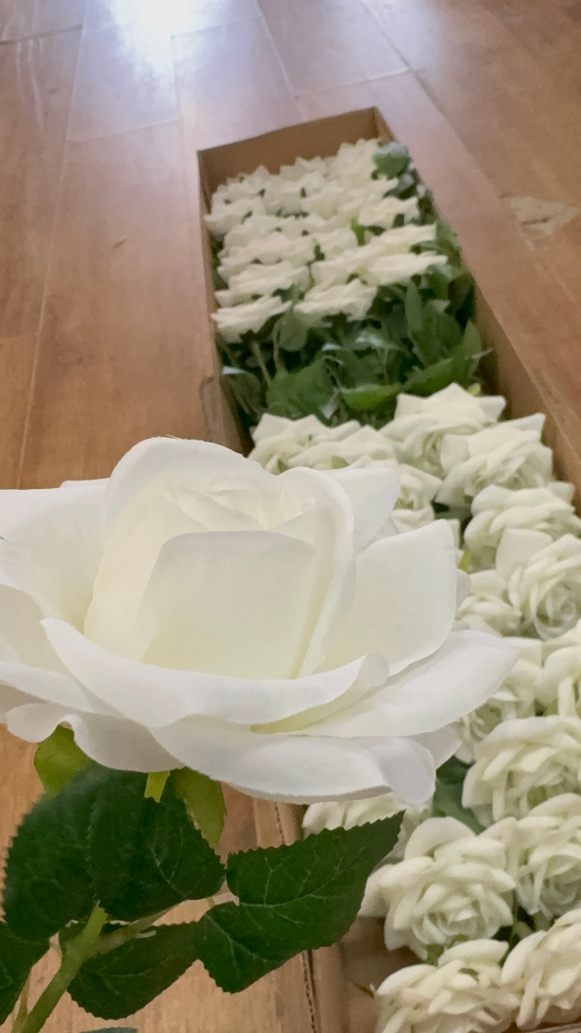 Box of 48 ivory Esme rose (head approx 11cm)