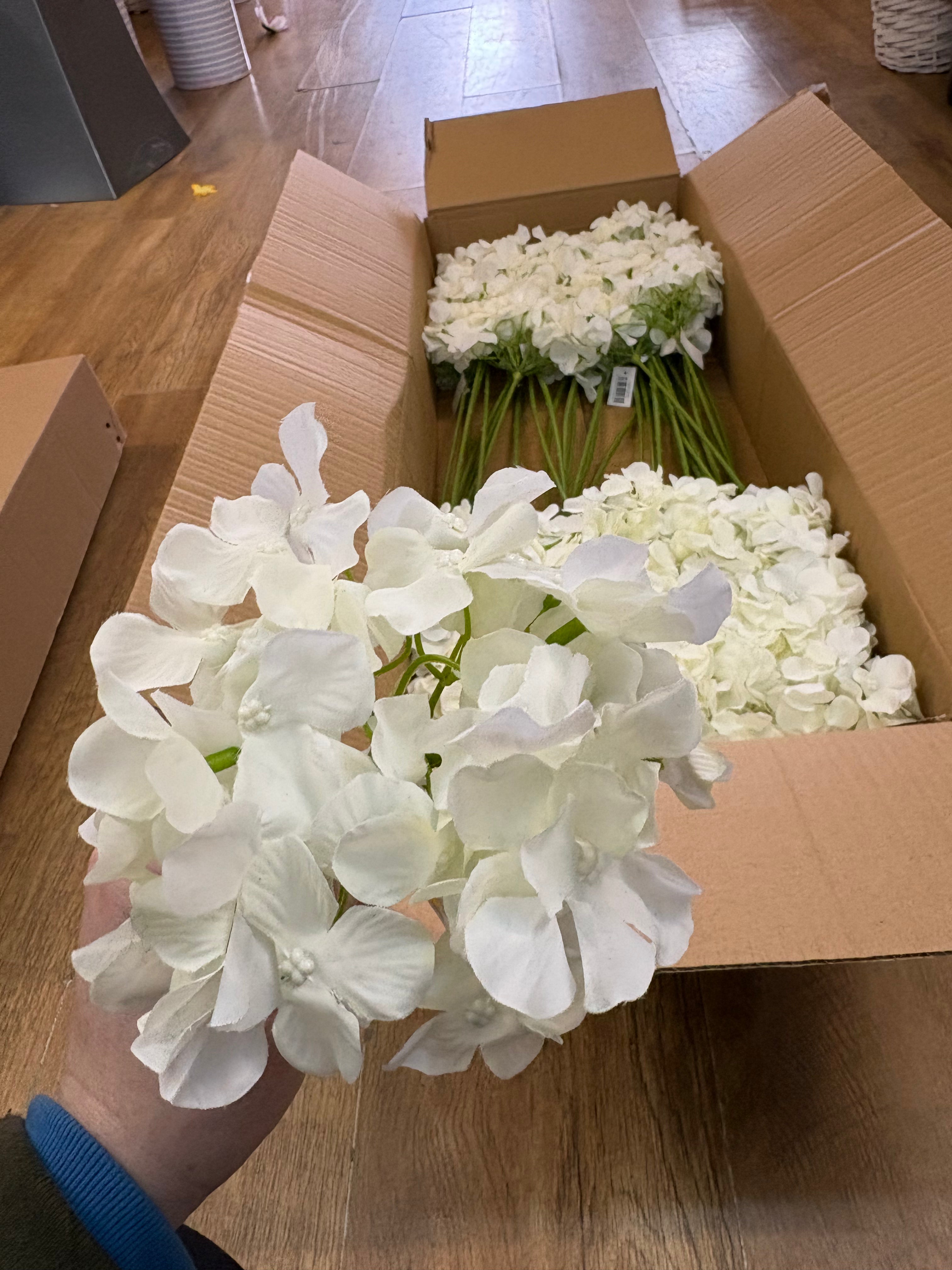 Box of 36 ivory hydrangea stems