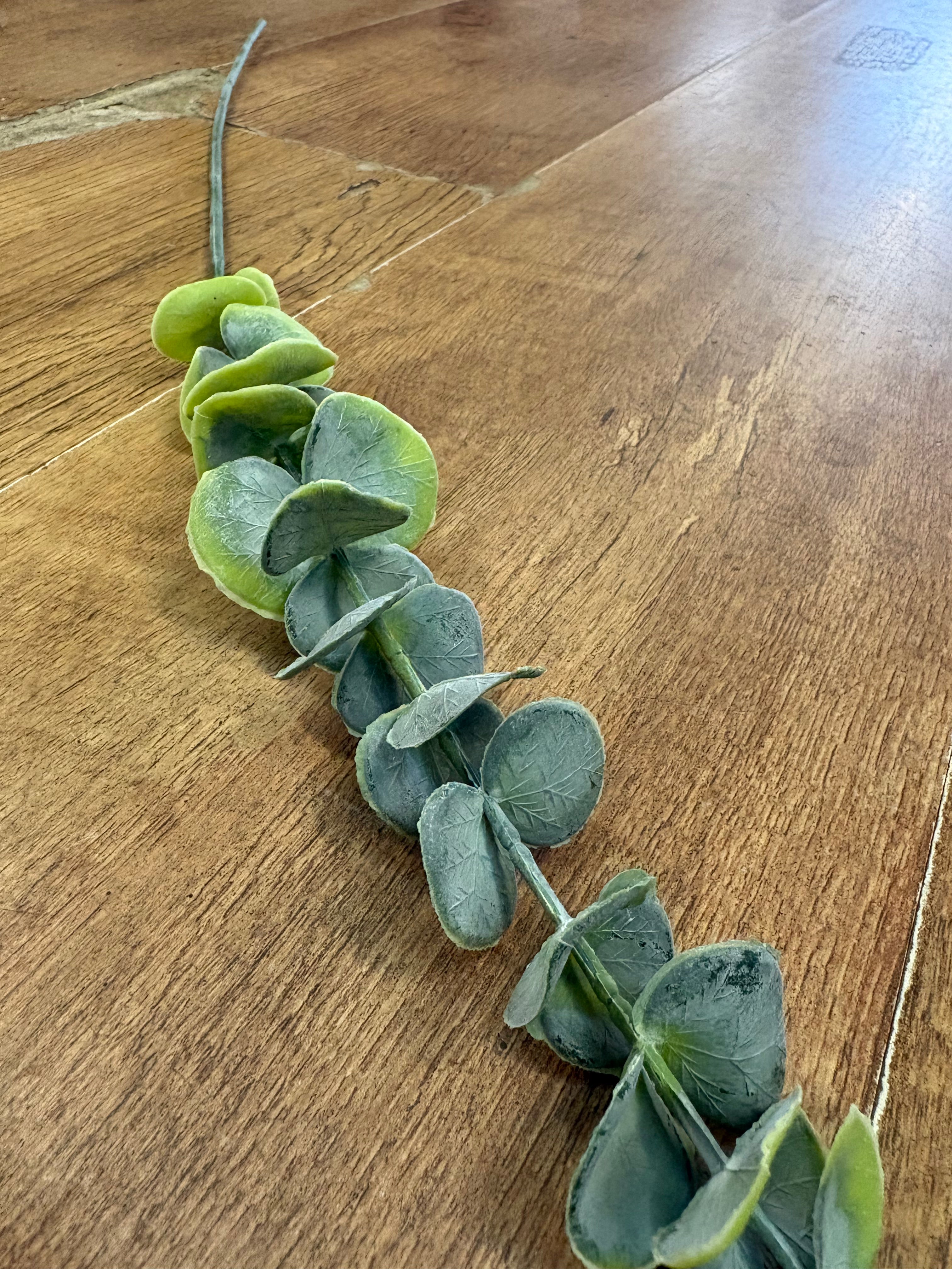 Long dusted eucalyptus pick - 2 colours available