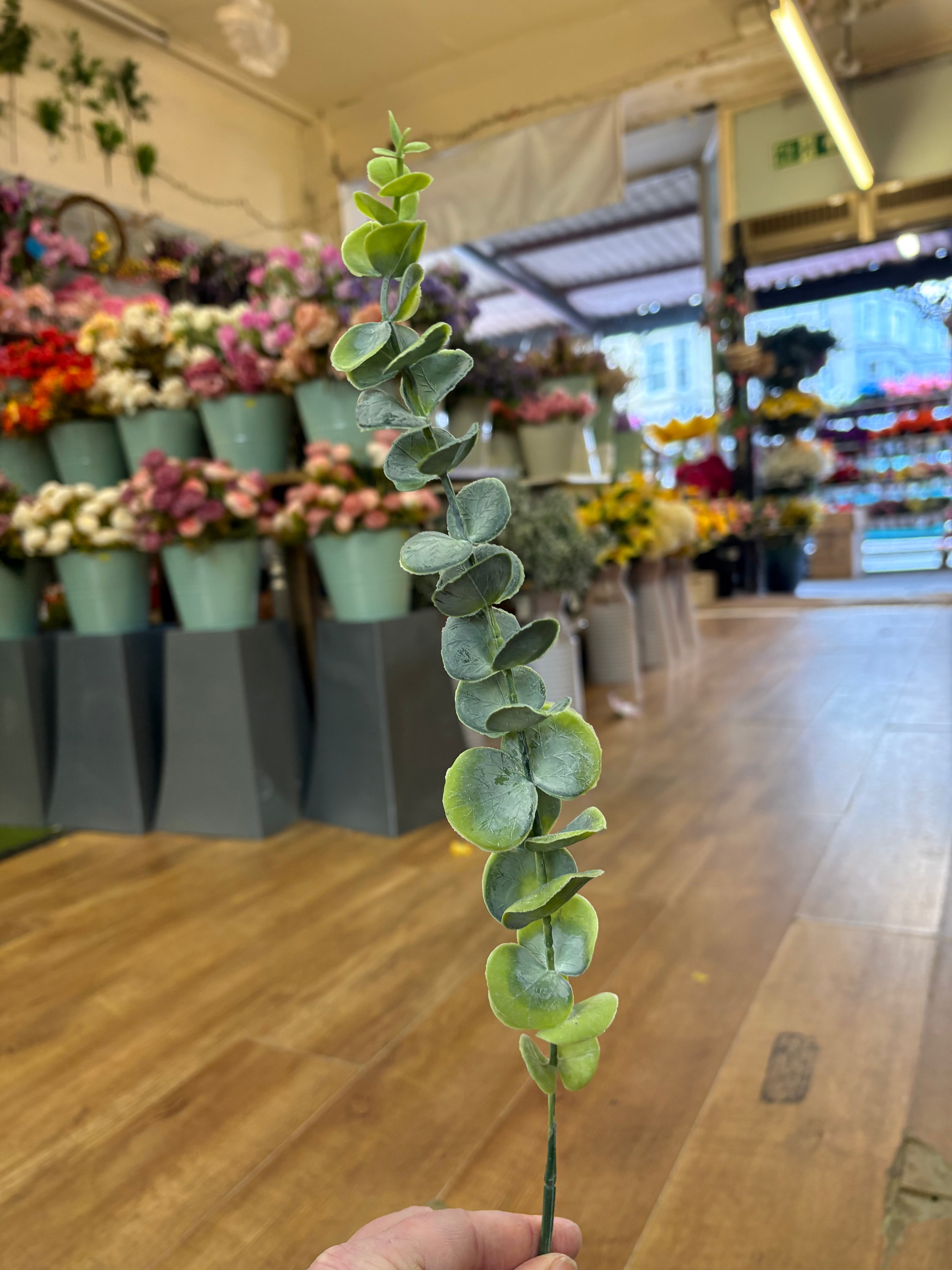 Long dusted eucalyptus pick - 2 colours available