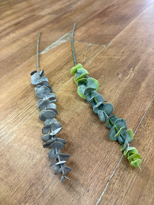 Long dusted eucalyptus pick - 2 colours available