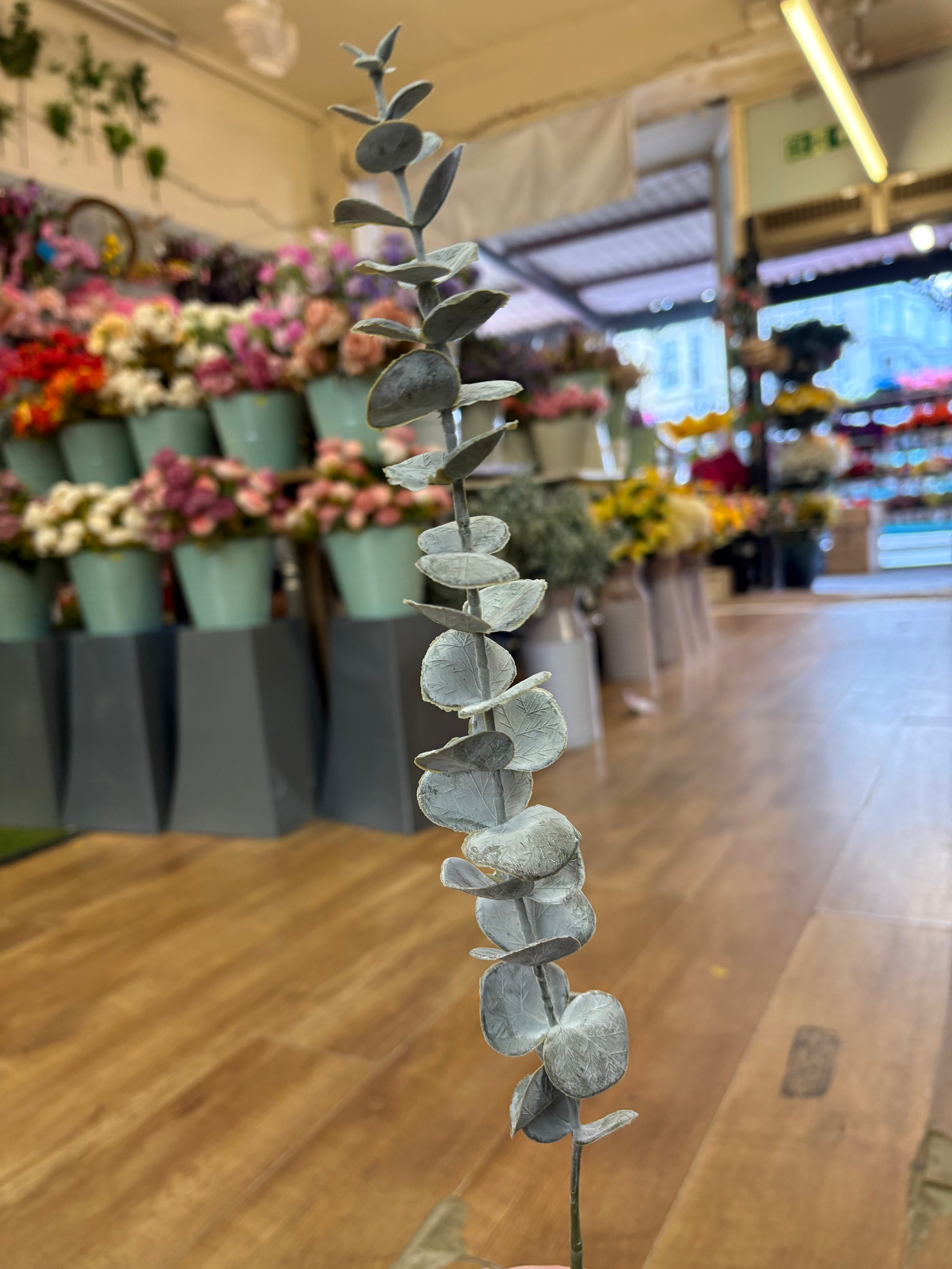 Long dusted eucalyptus pick - 2 colours available