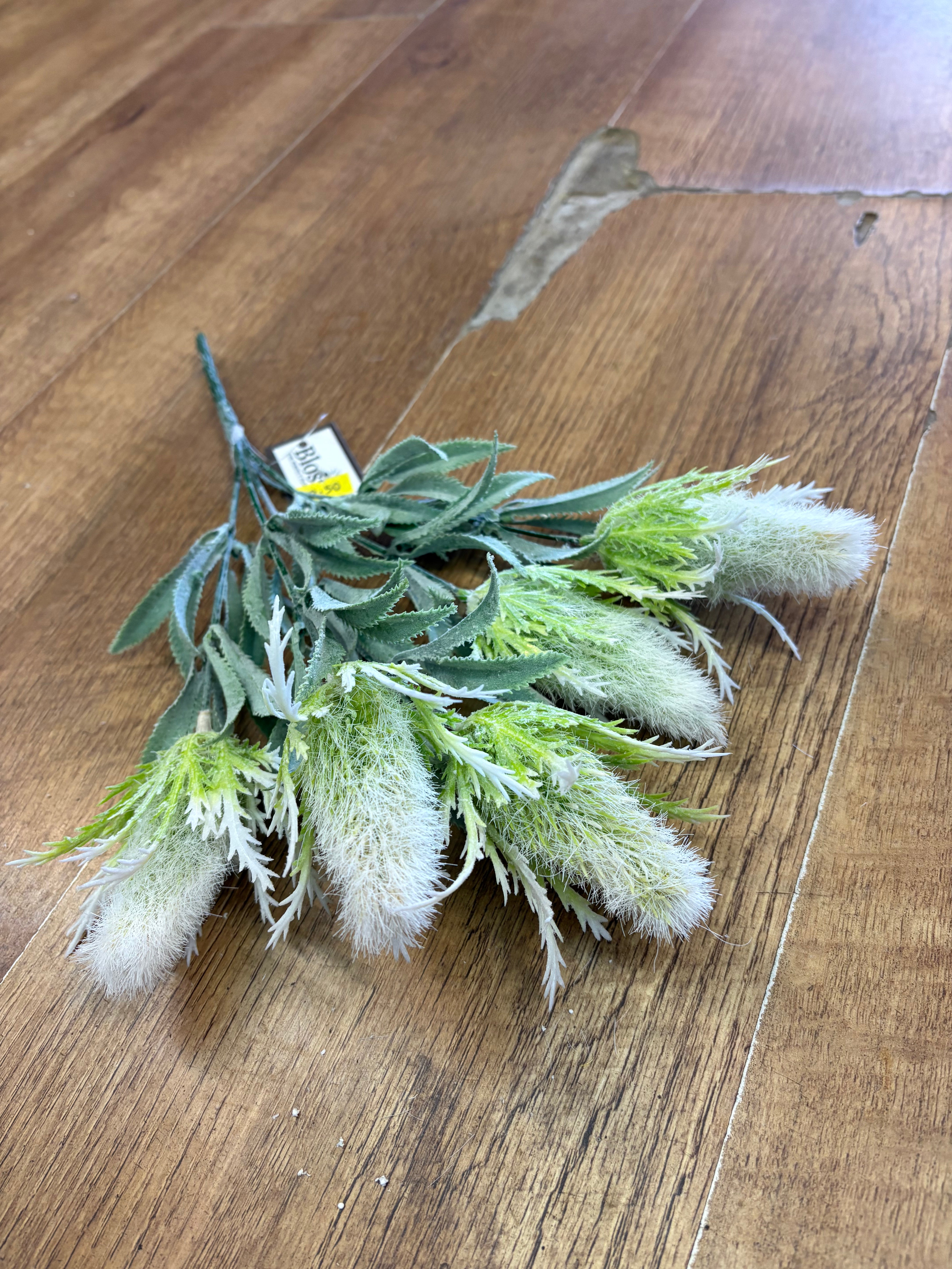 White flocked eryngium bunch