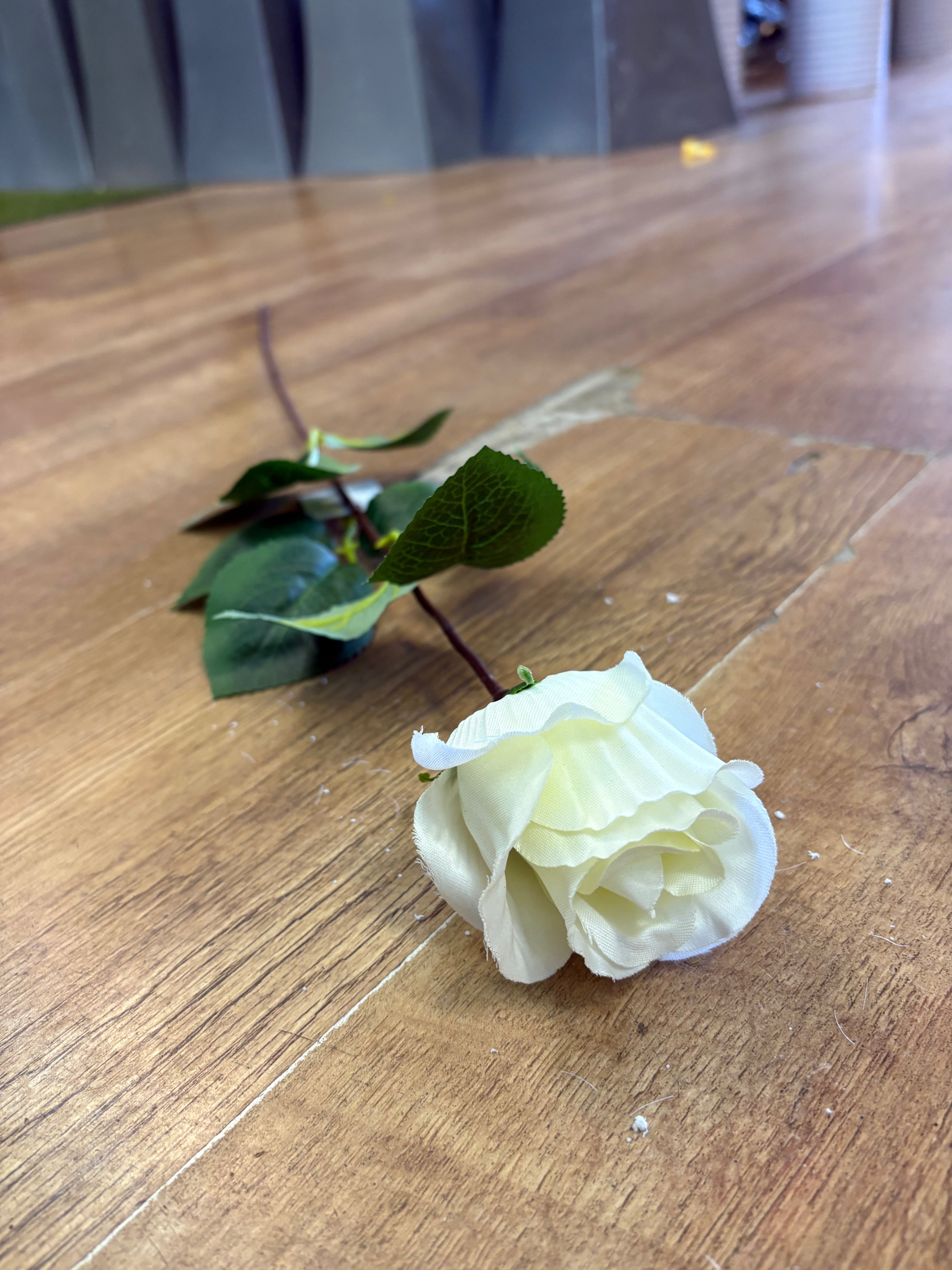 Long stem single cream rose
