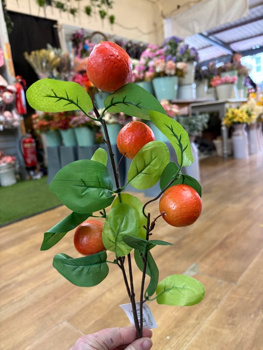 Bundle of 3 orange stems