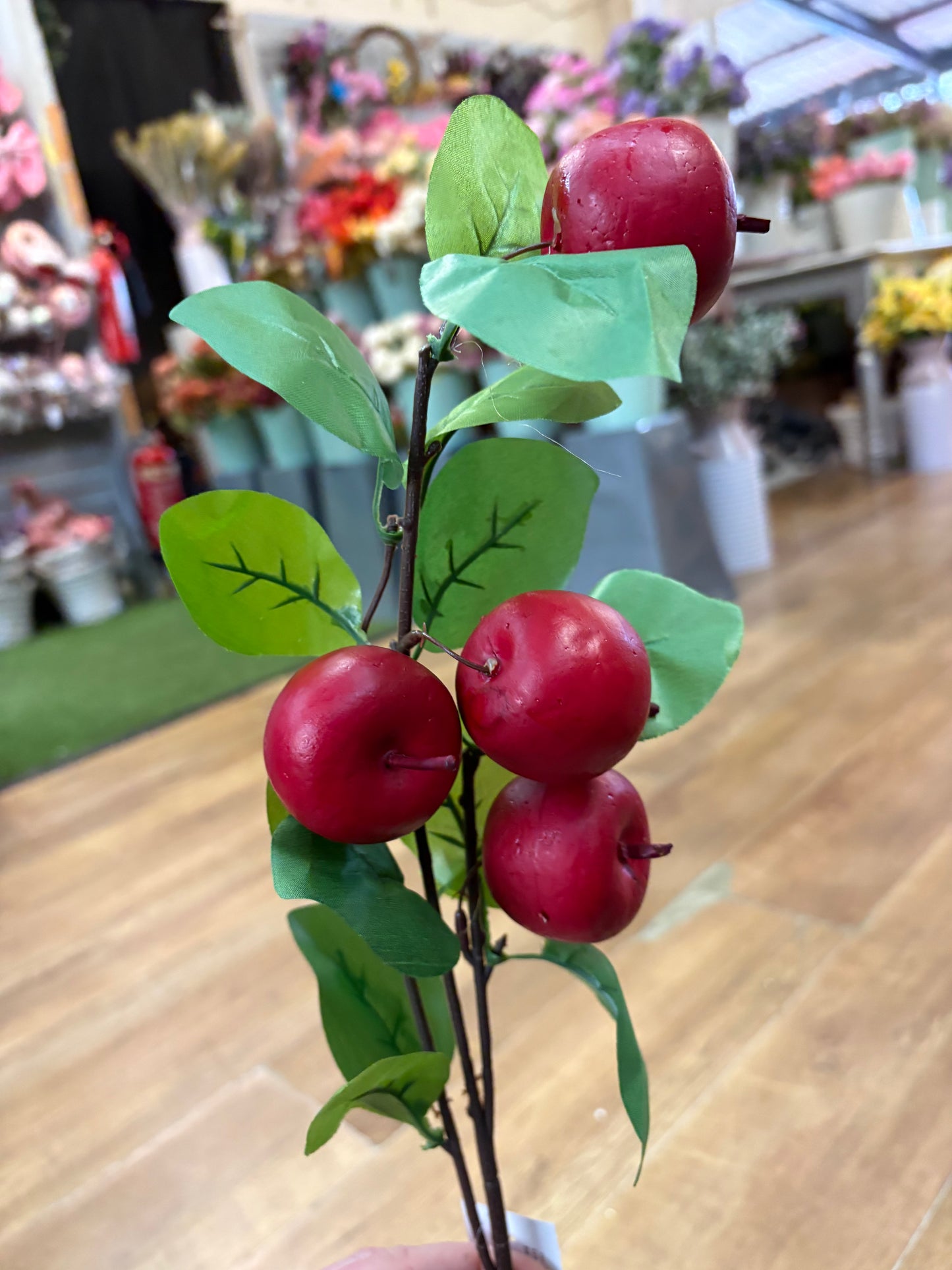 Bundle of 3 red apple stems