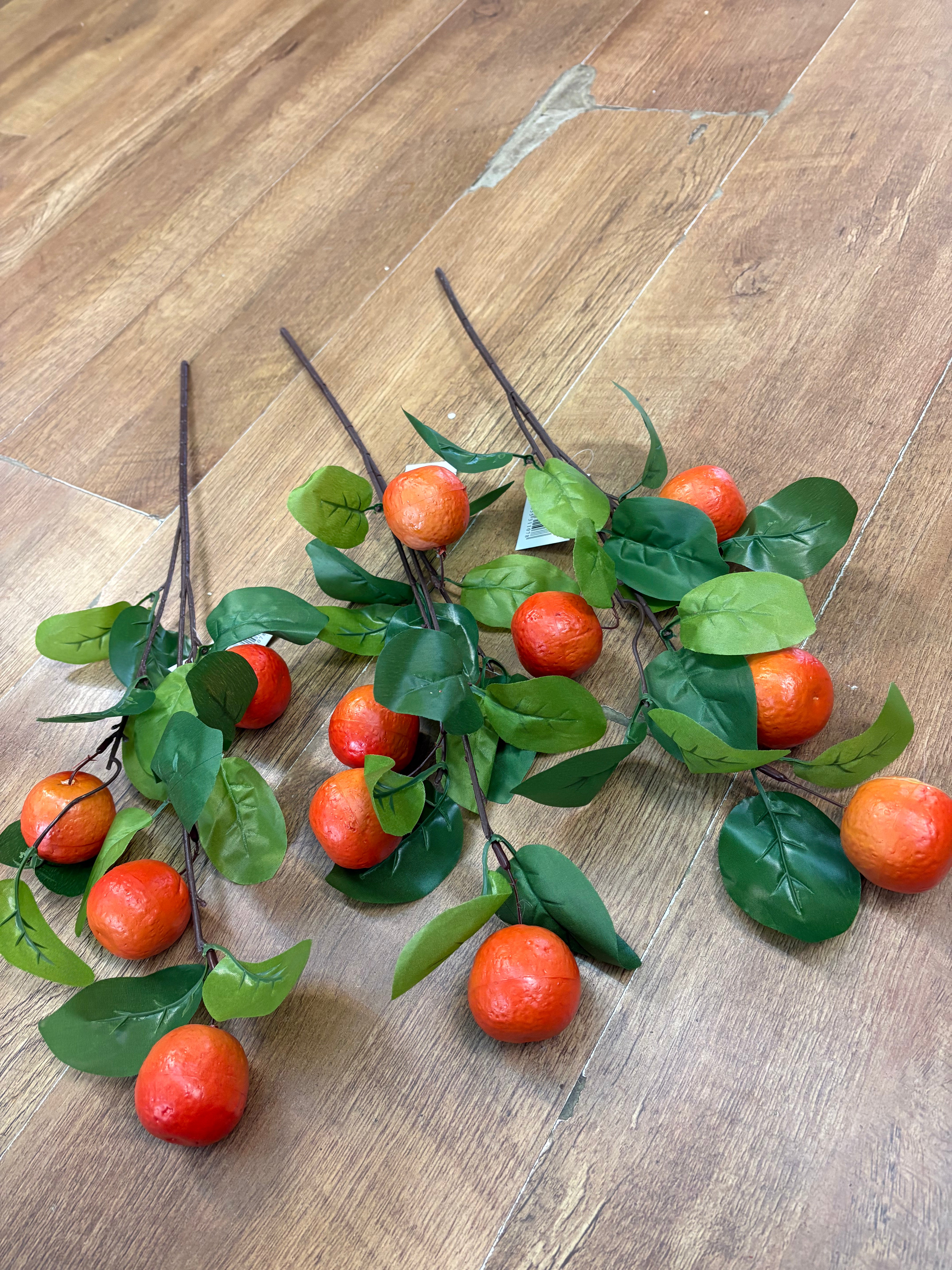 Bundle of 3 orange stems
