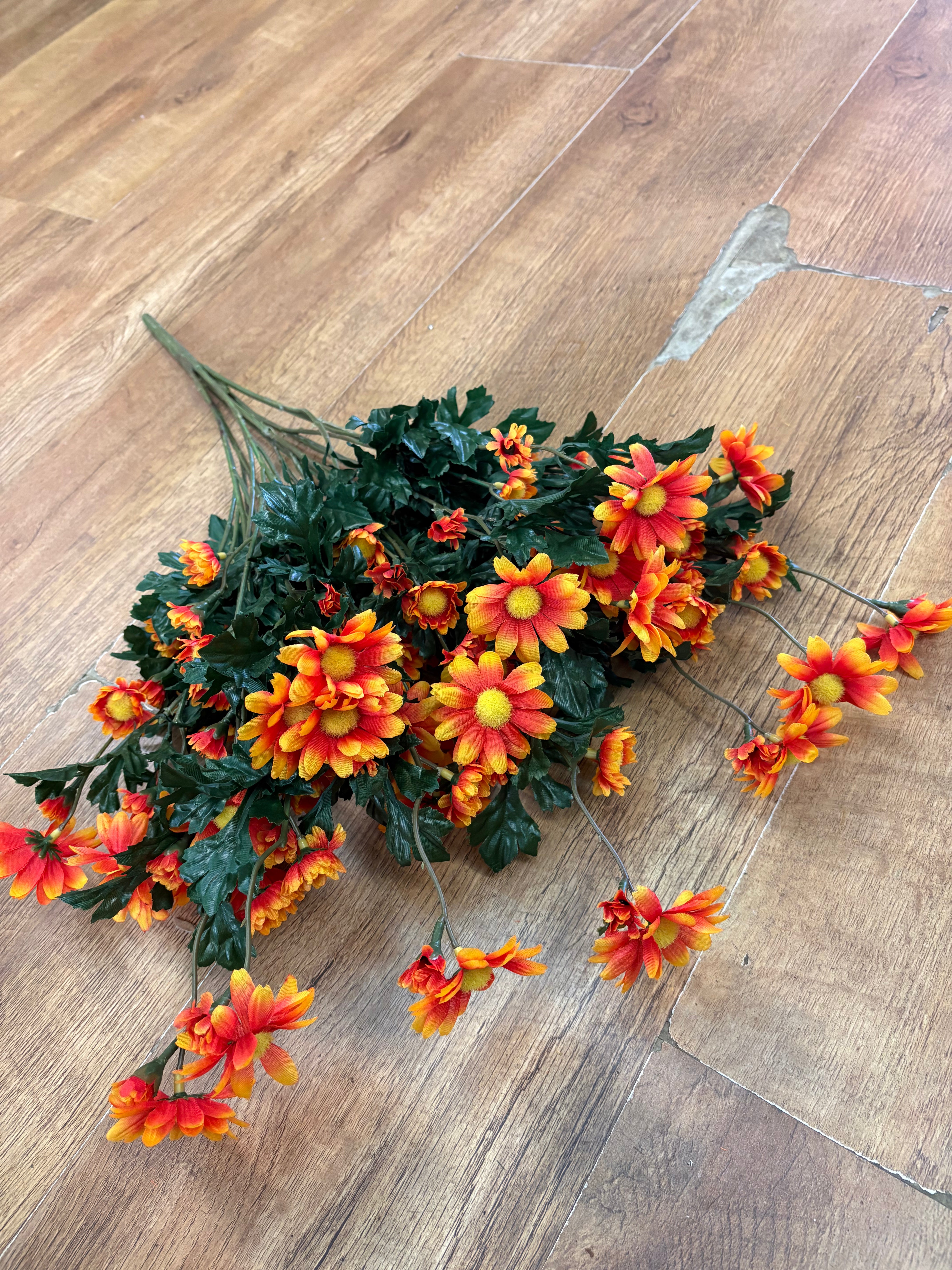 Large orange mixed size daisy bunch