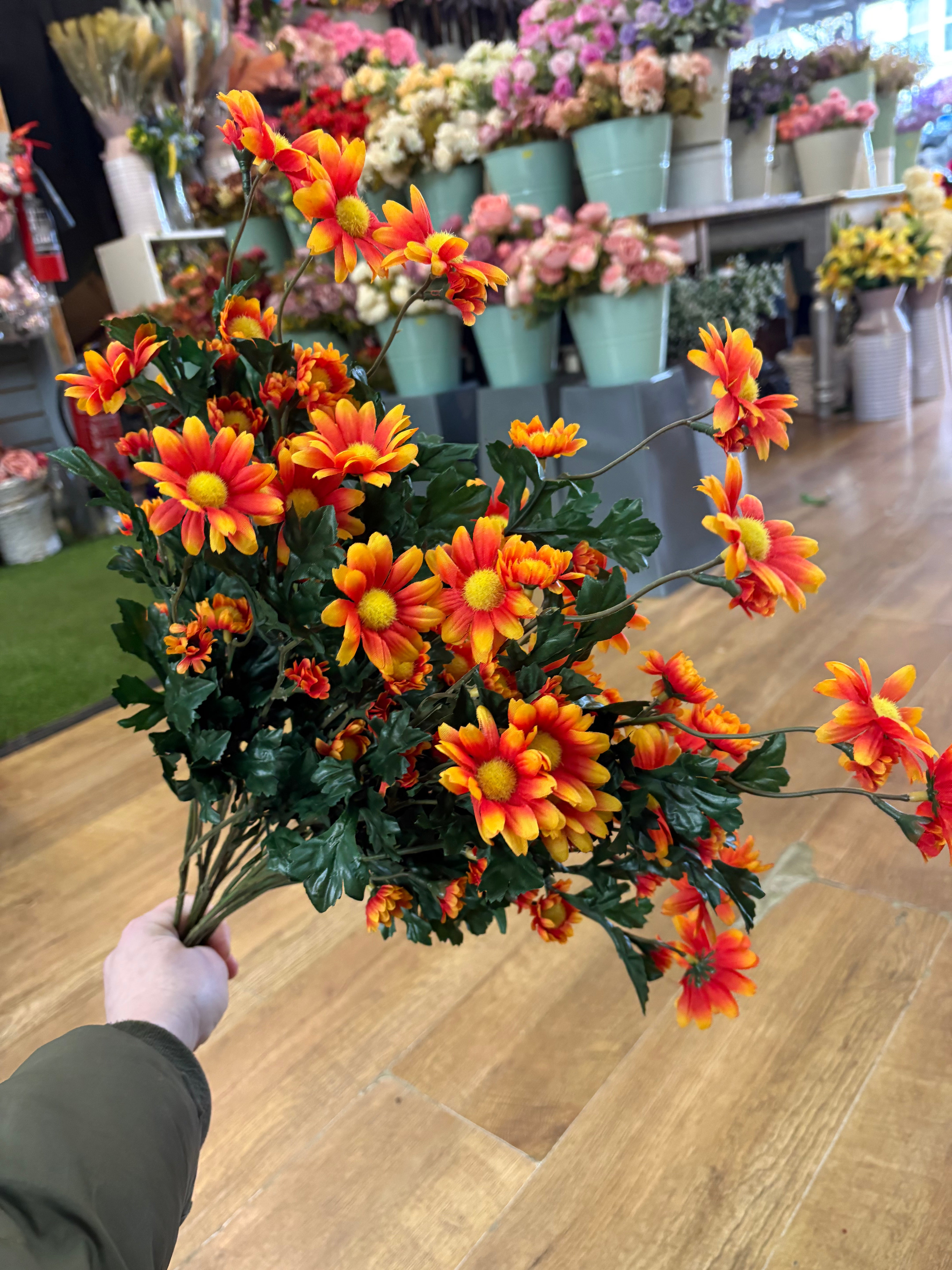 Large orange mixed size daisy bunch