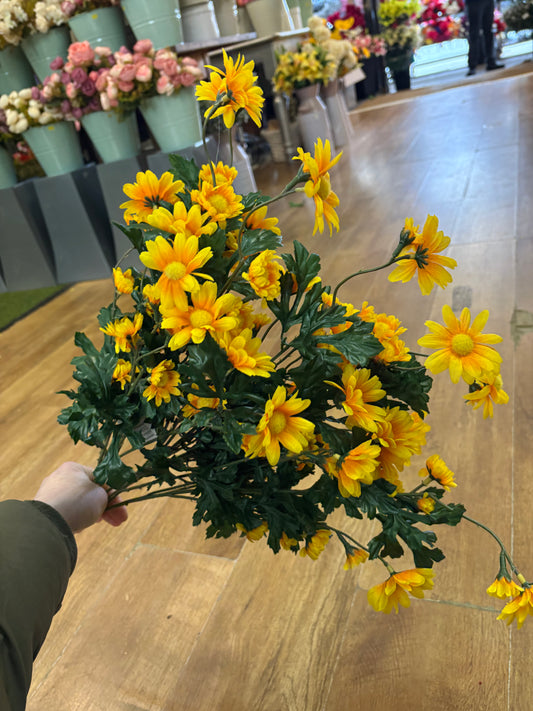 Large yellow mixed size daisy bunch