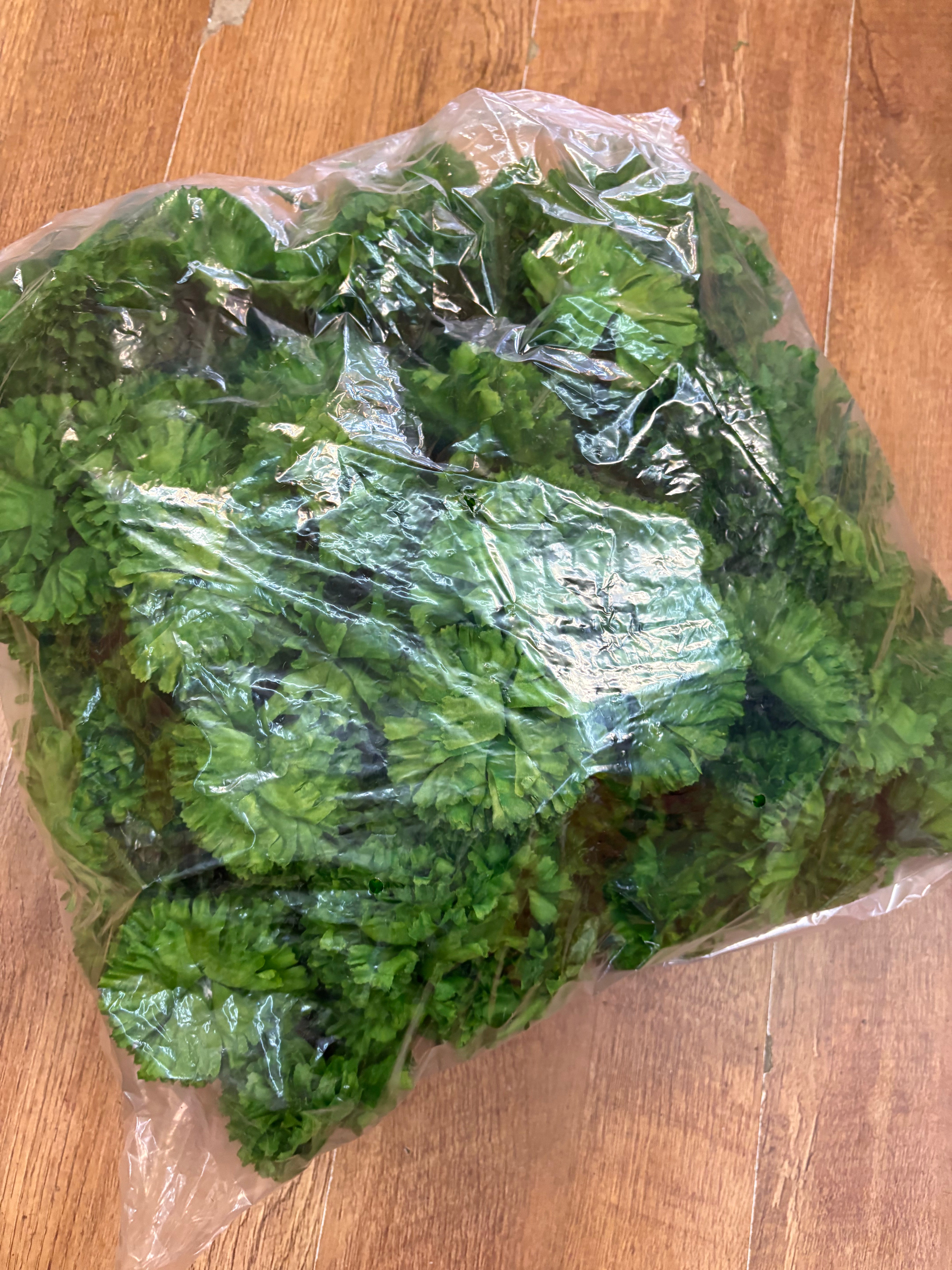 Bag of 144 green carnation picks