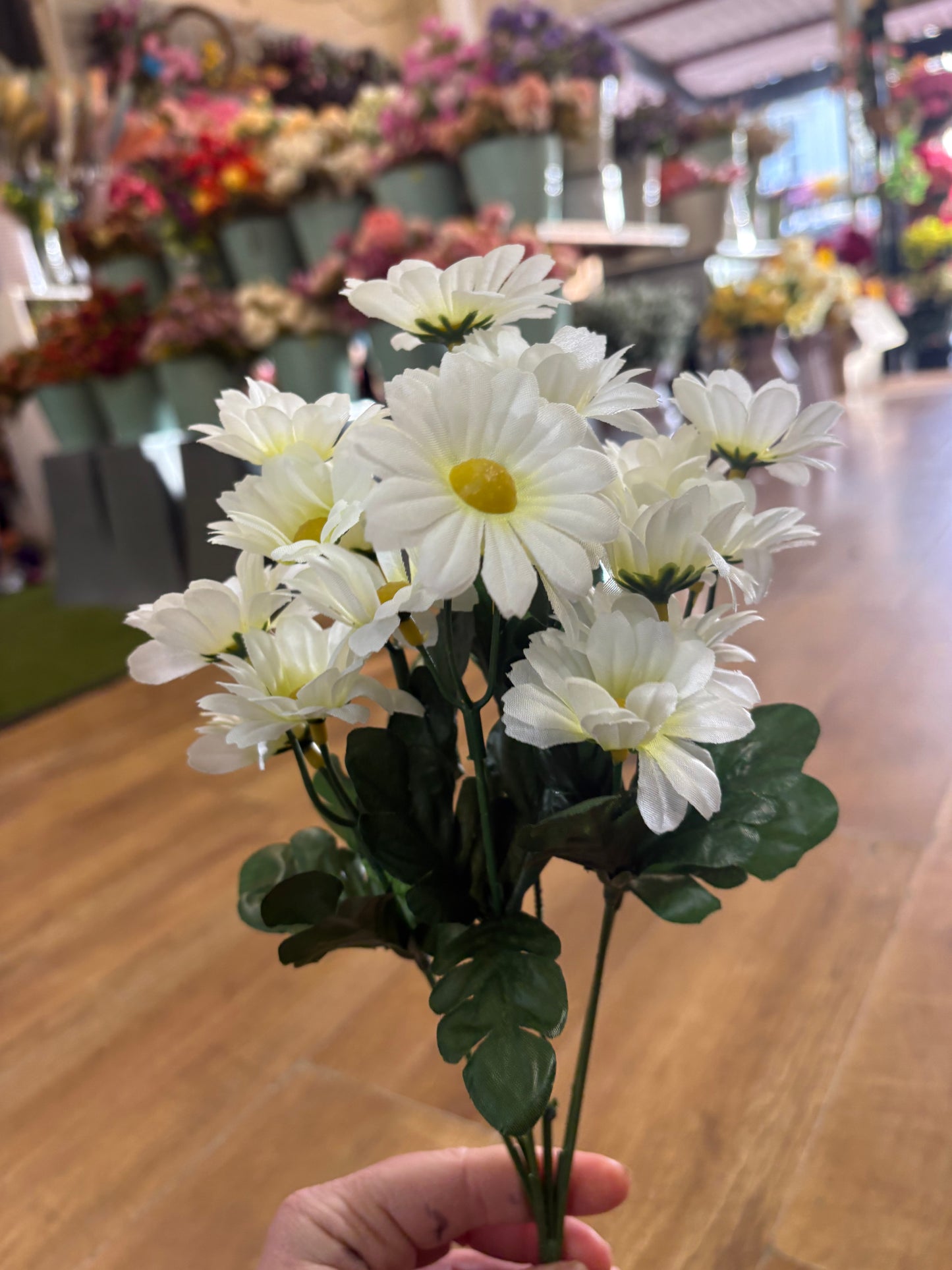 Gerbera daisy bunch - 6 colours available