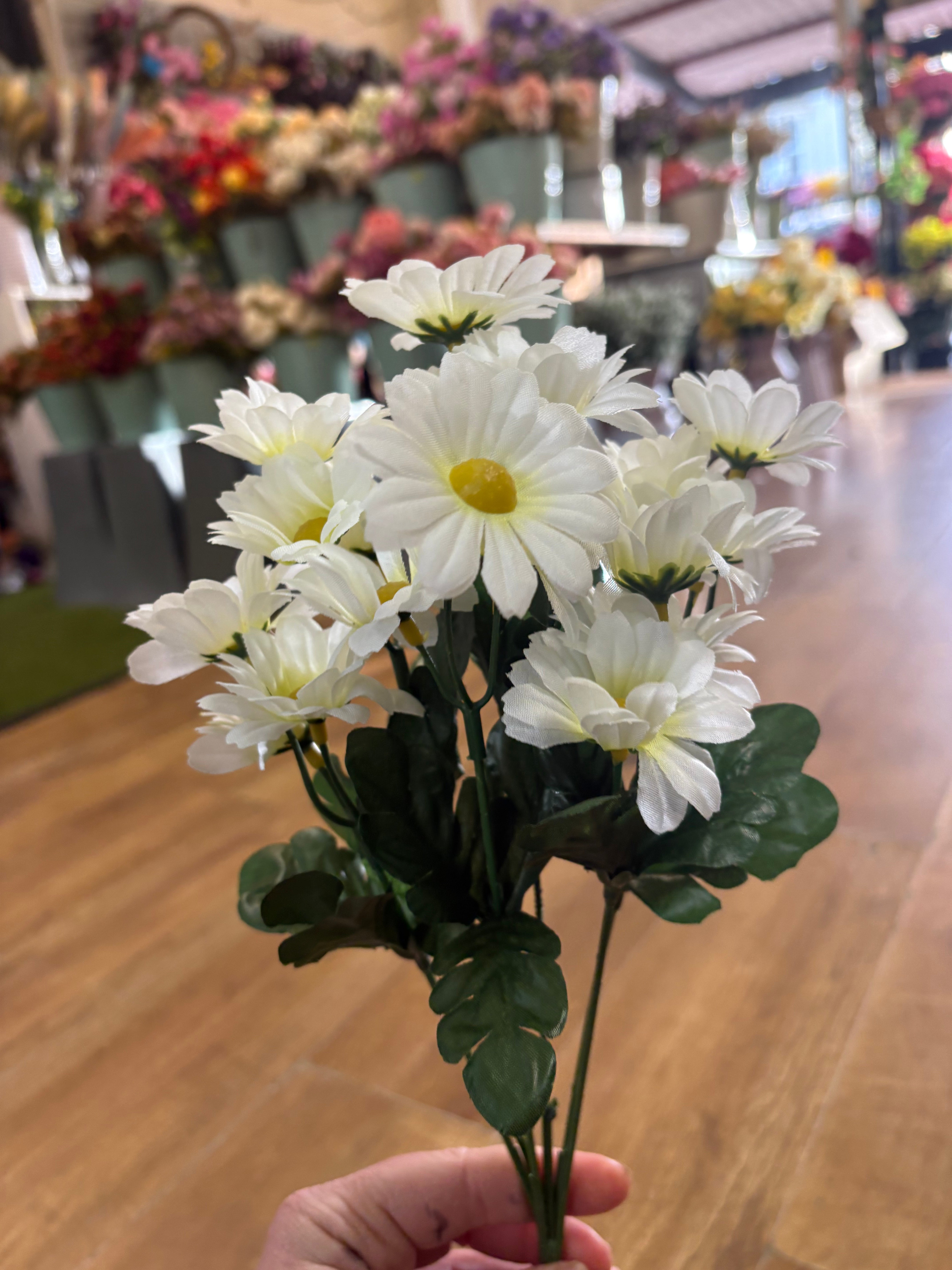 Gerbera daisy bunch - 6 colours available
