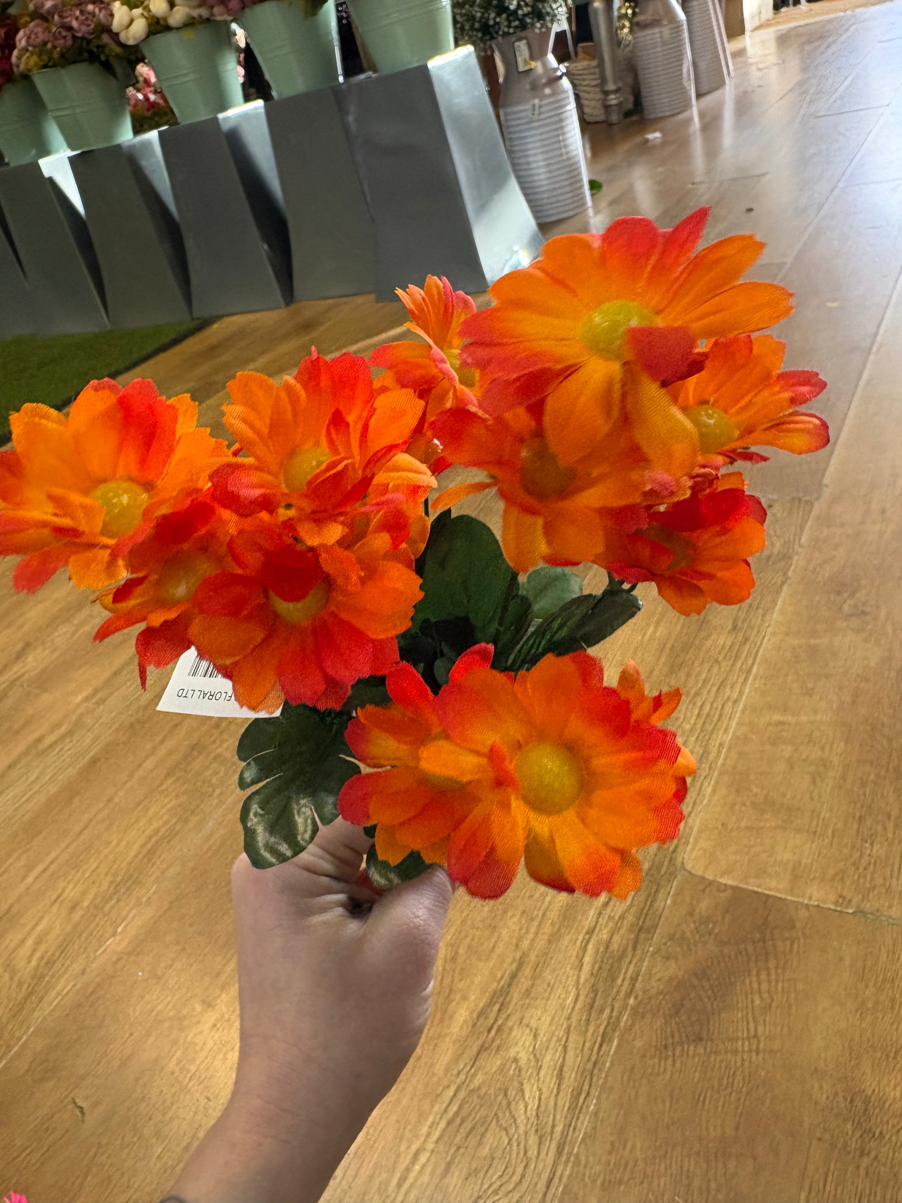 Gerbera daisy bunch - 6 colours available