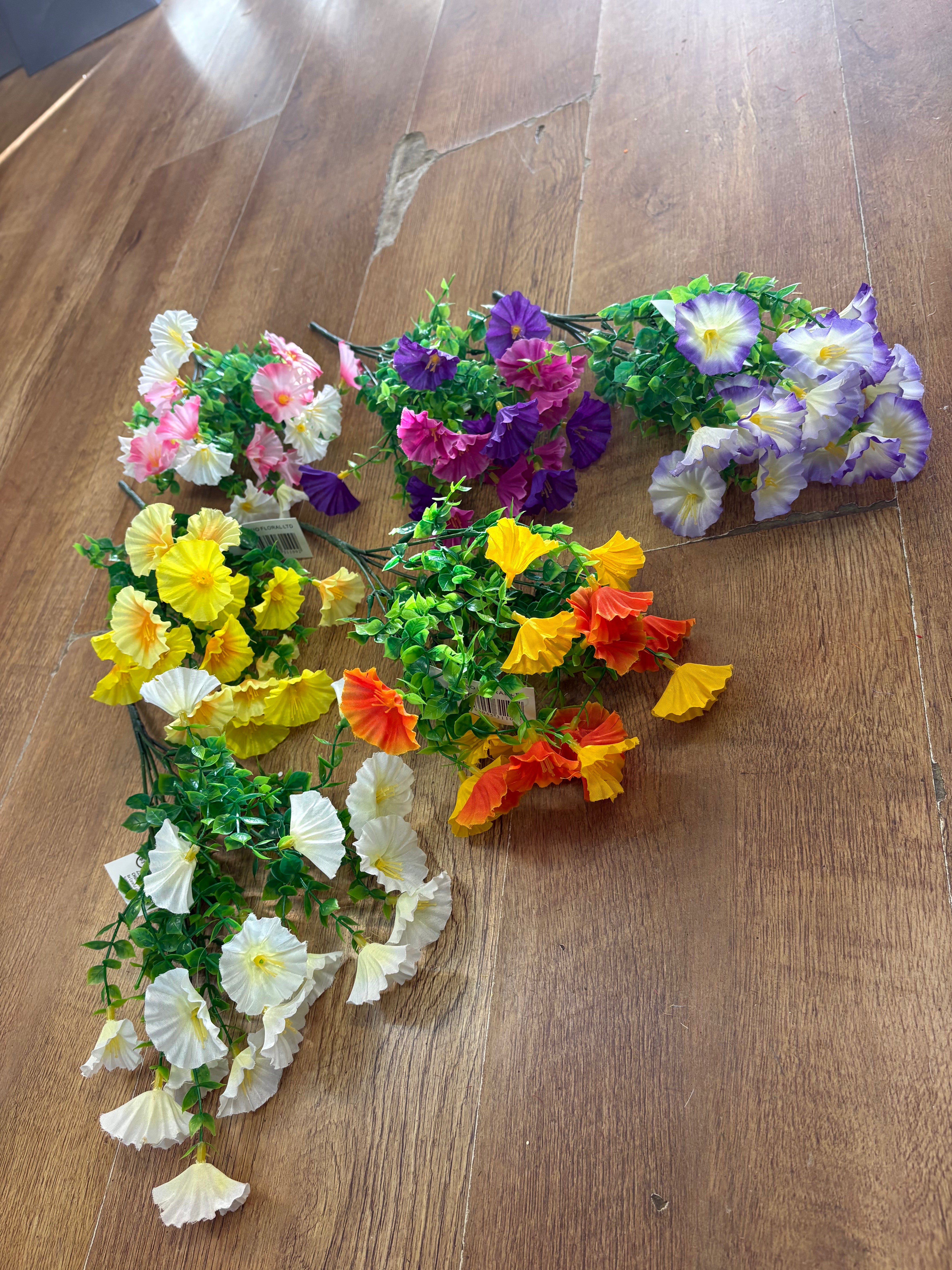 Petunia bunch - 6 colours available
