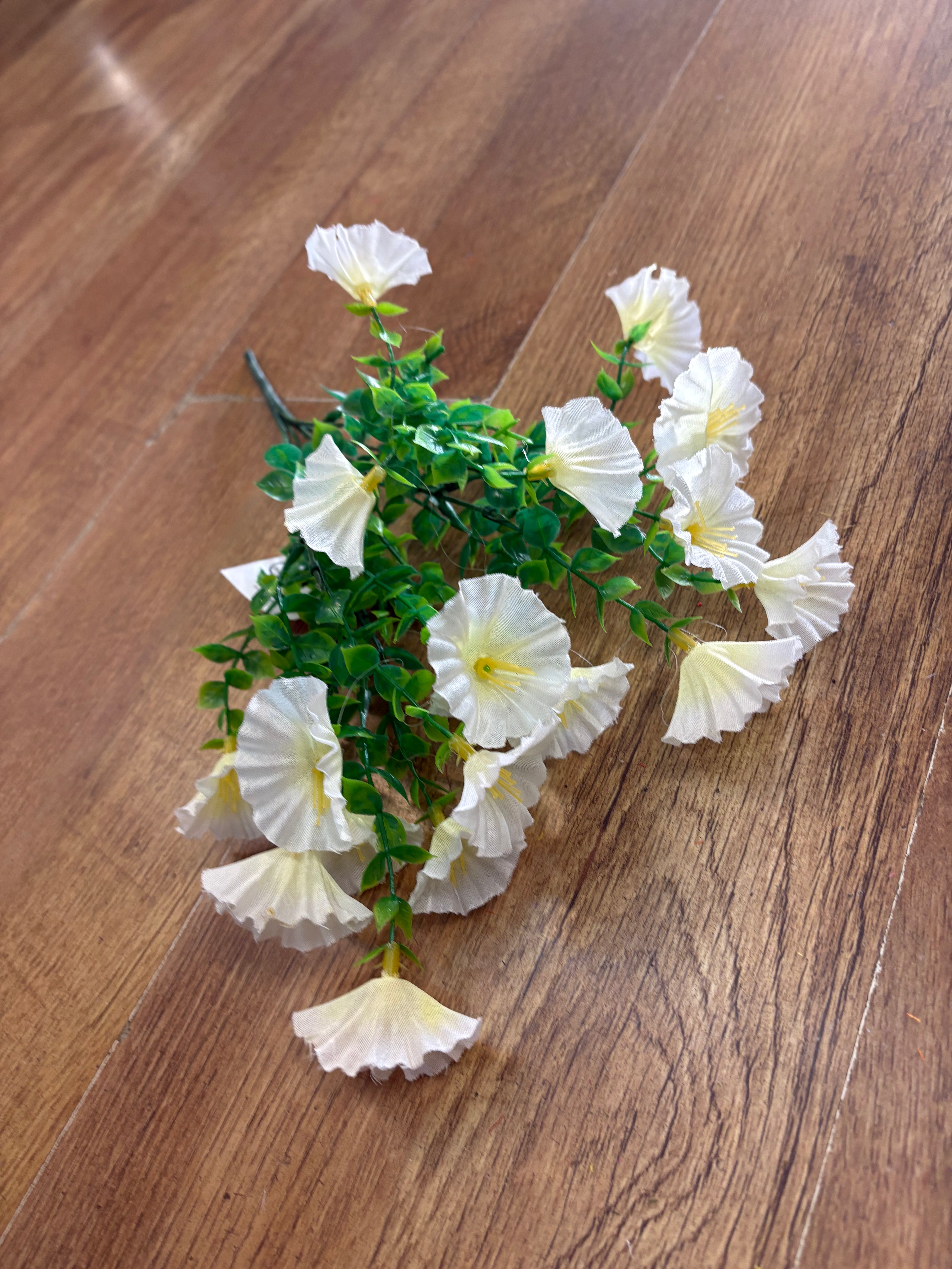 Petunia bunch - 6 colours available