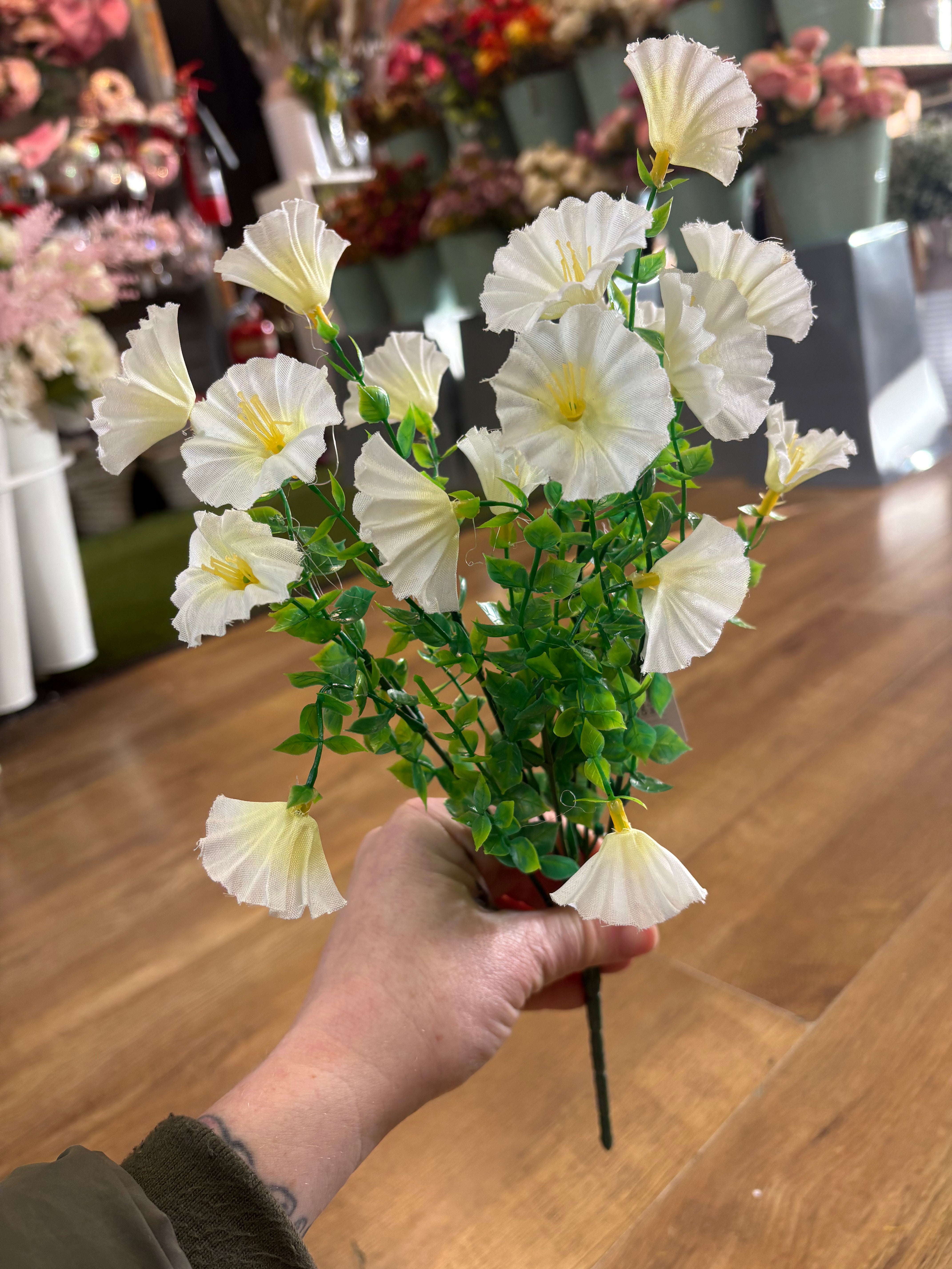 Petunia bunch - 6 colours available
