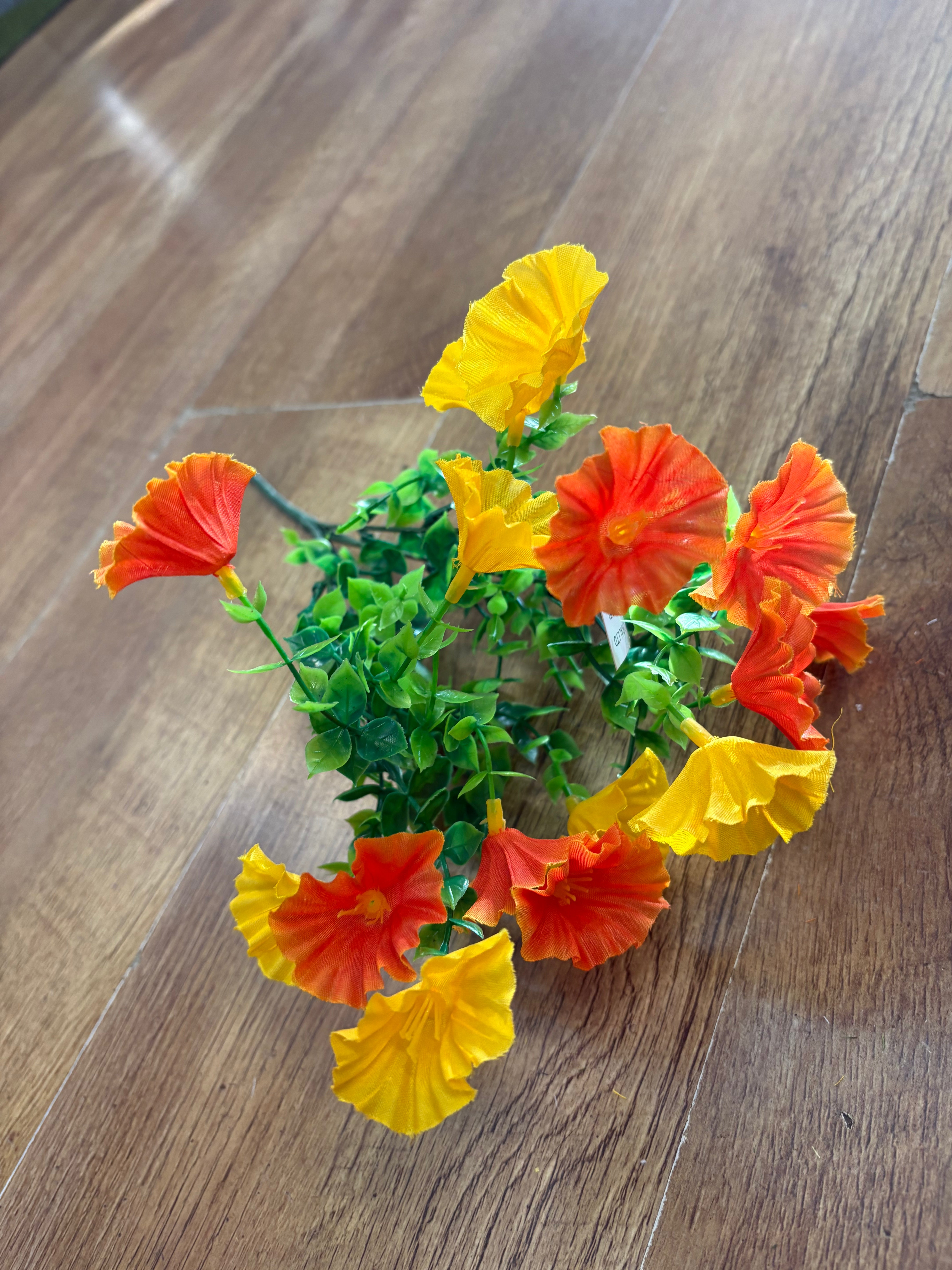 Petunia bunch - 6 colours available
