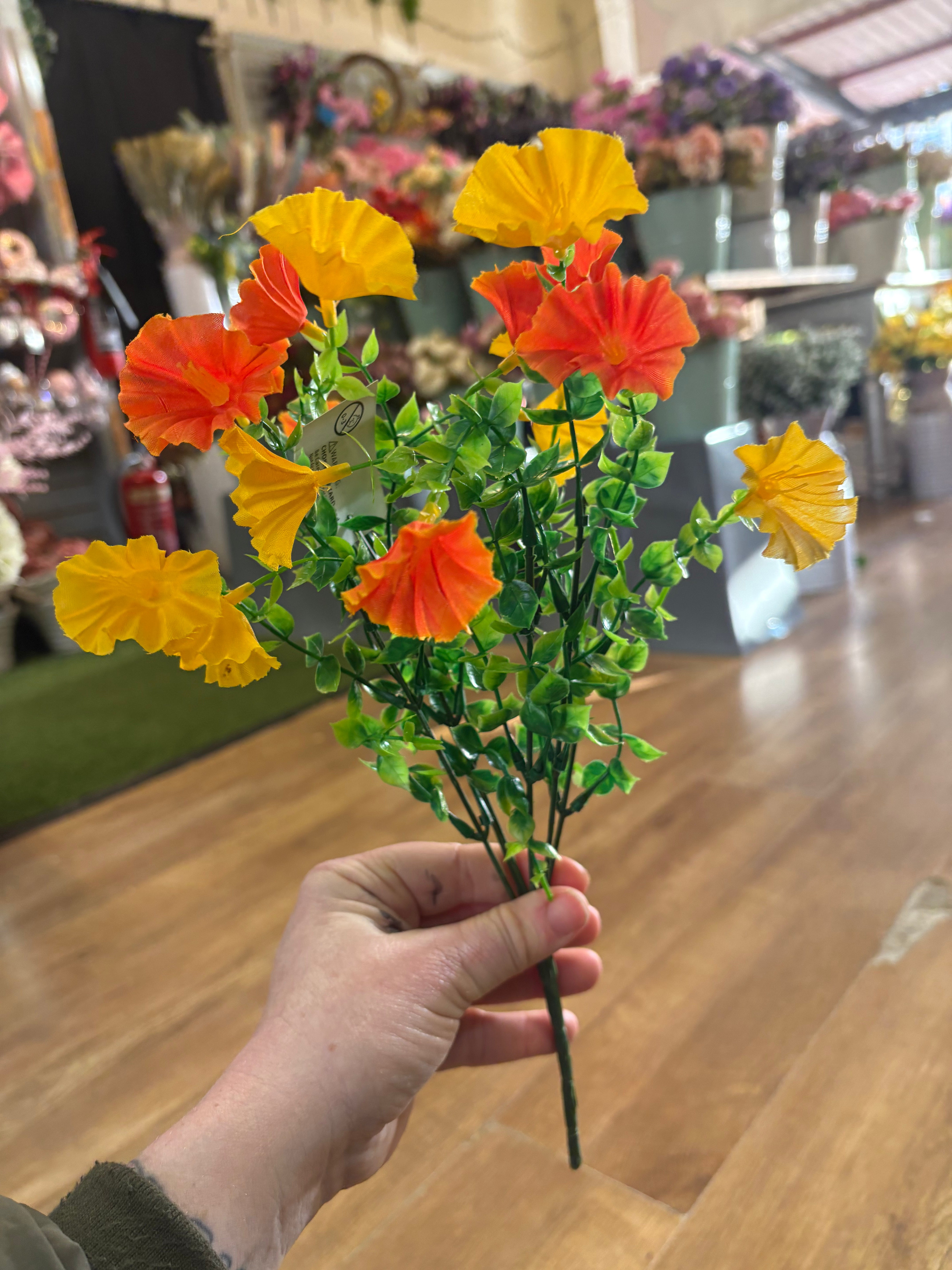 Petunia bunch - 6 colours available