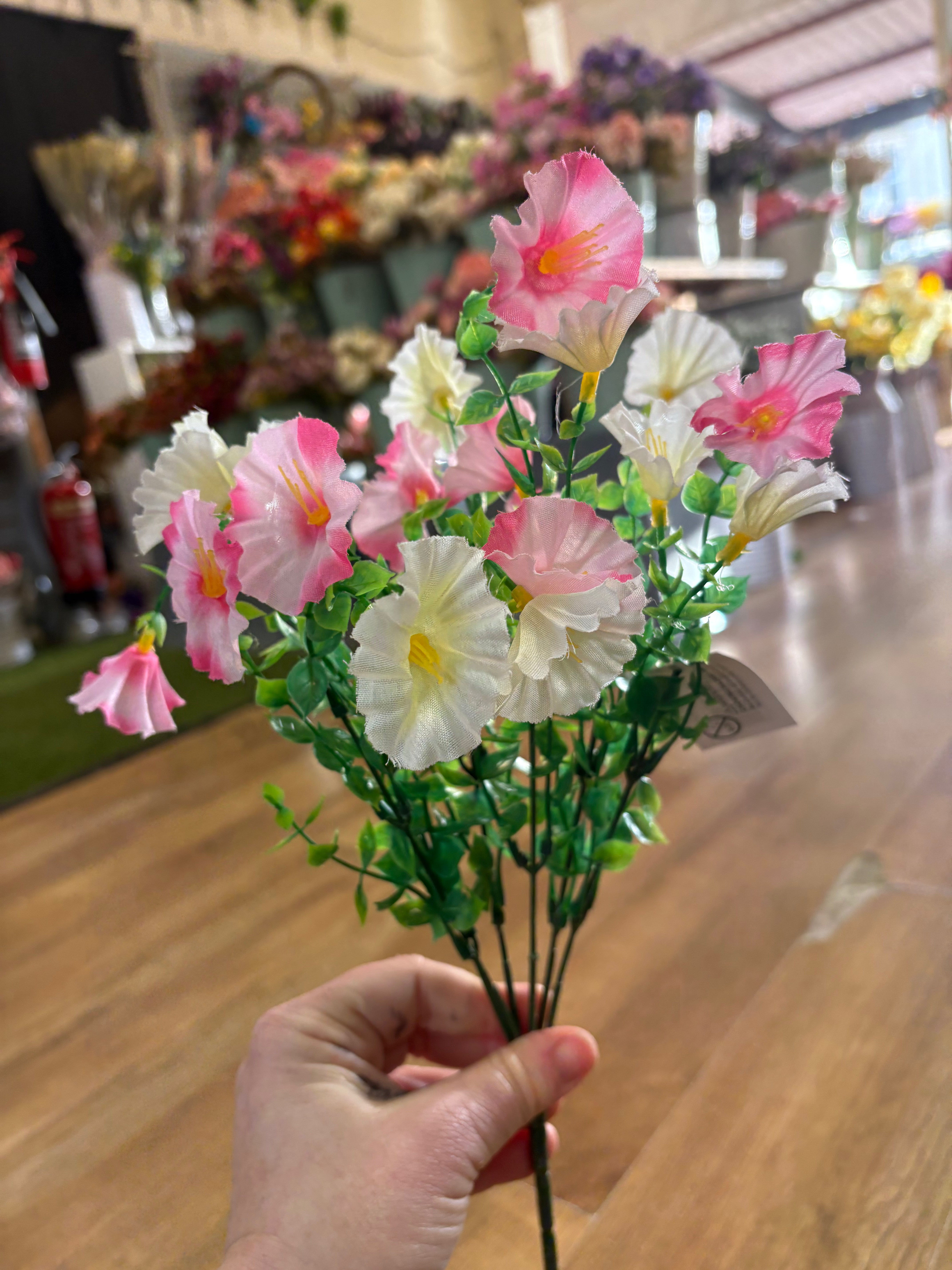 Petunia bunch - 6 colours available