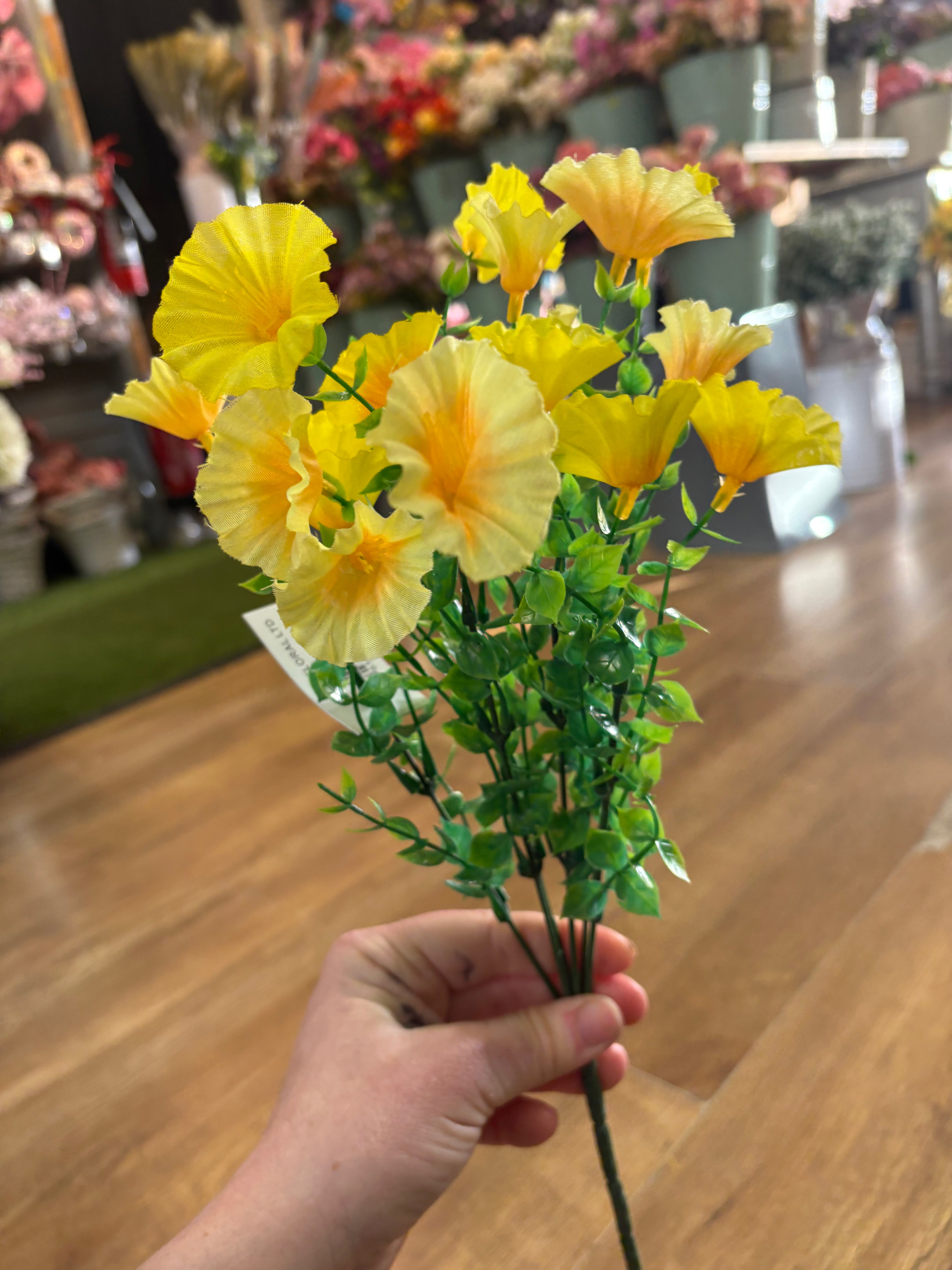 Petunia bunch - 6 colours available