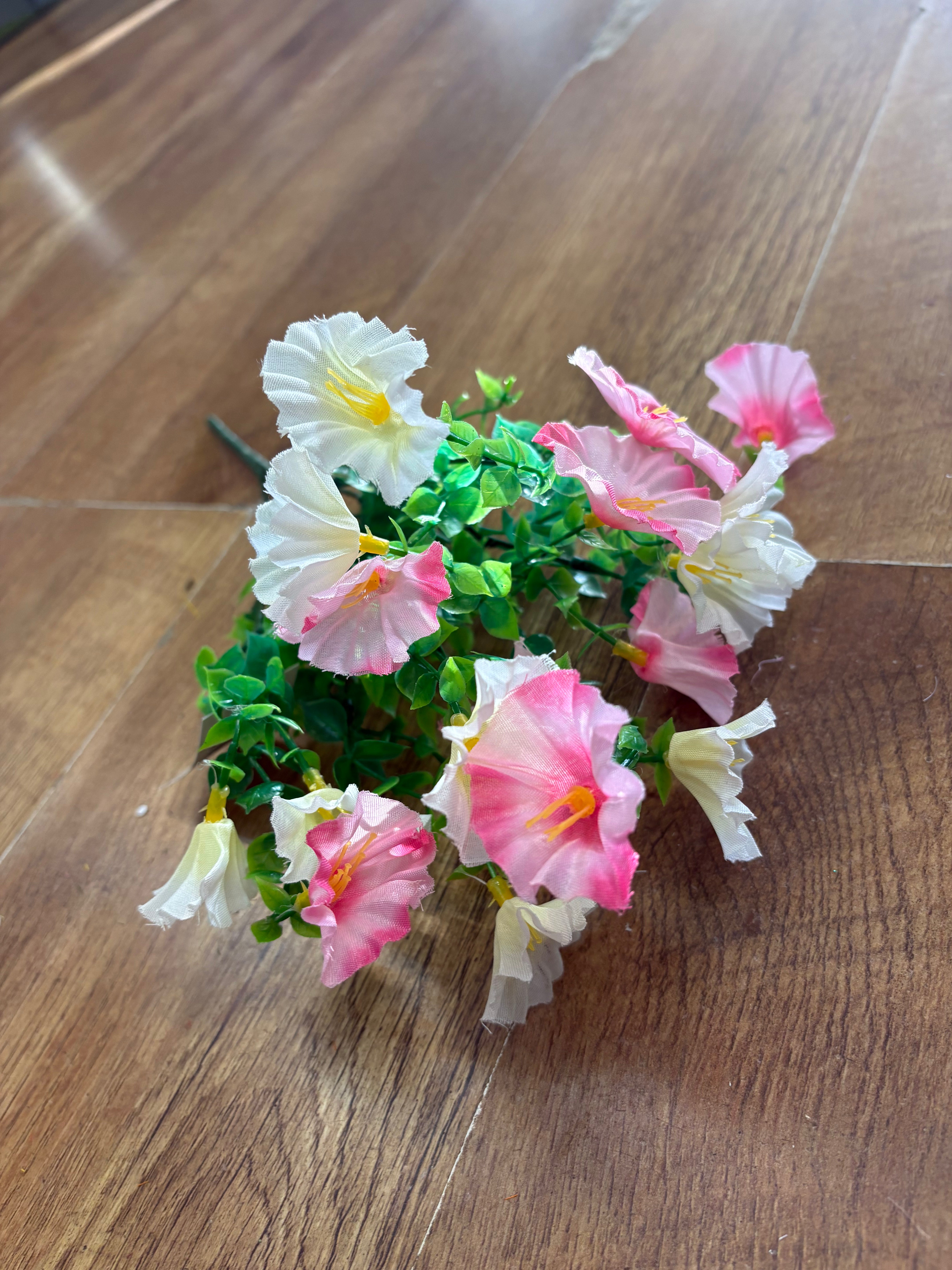 Petunia bunch - 6 colours available