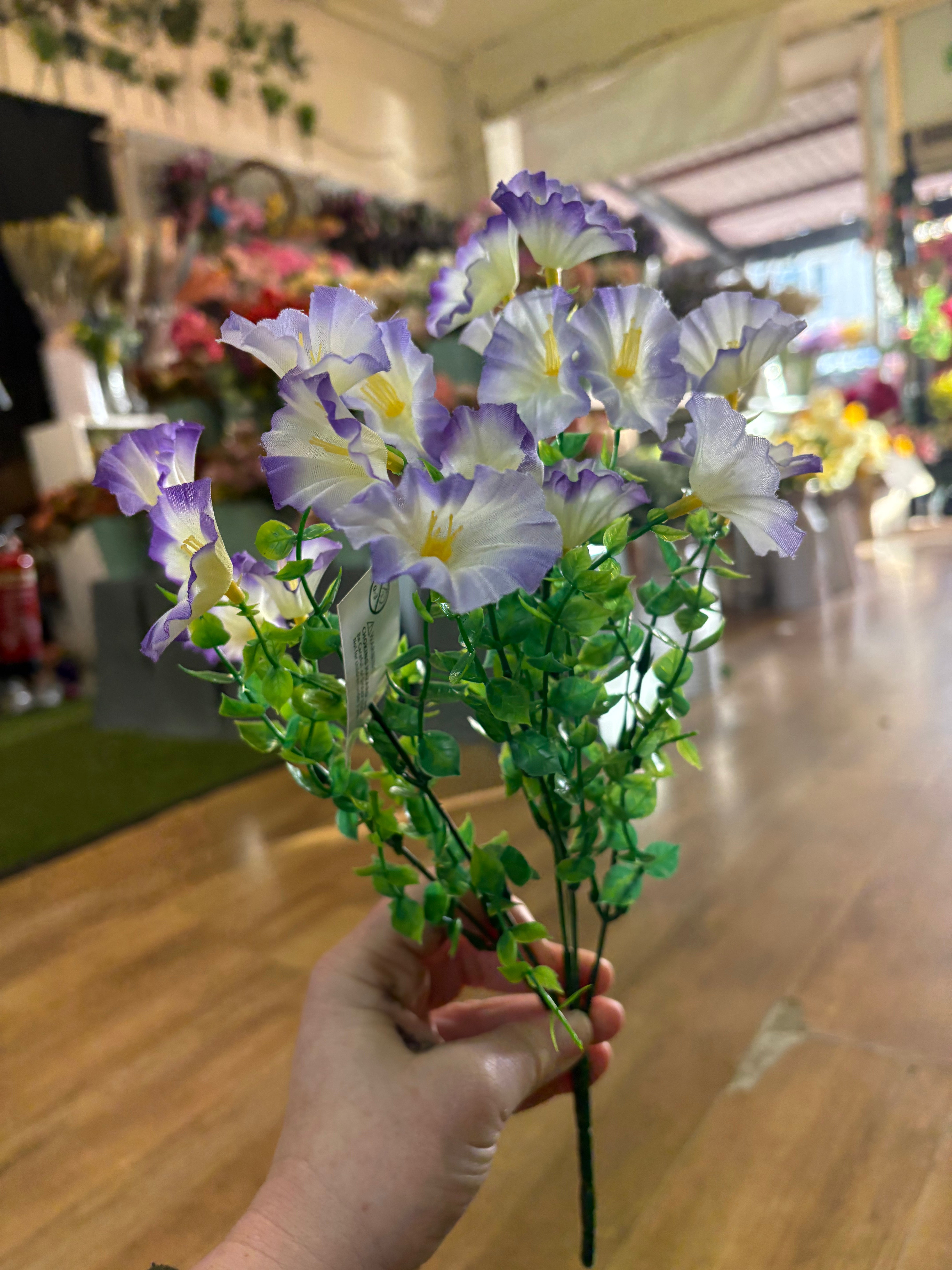 Petunia bunch - 6 colours available