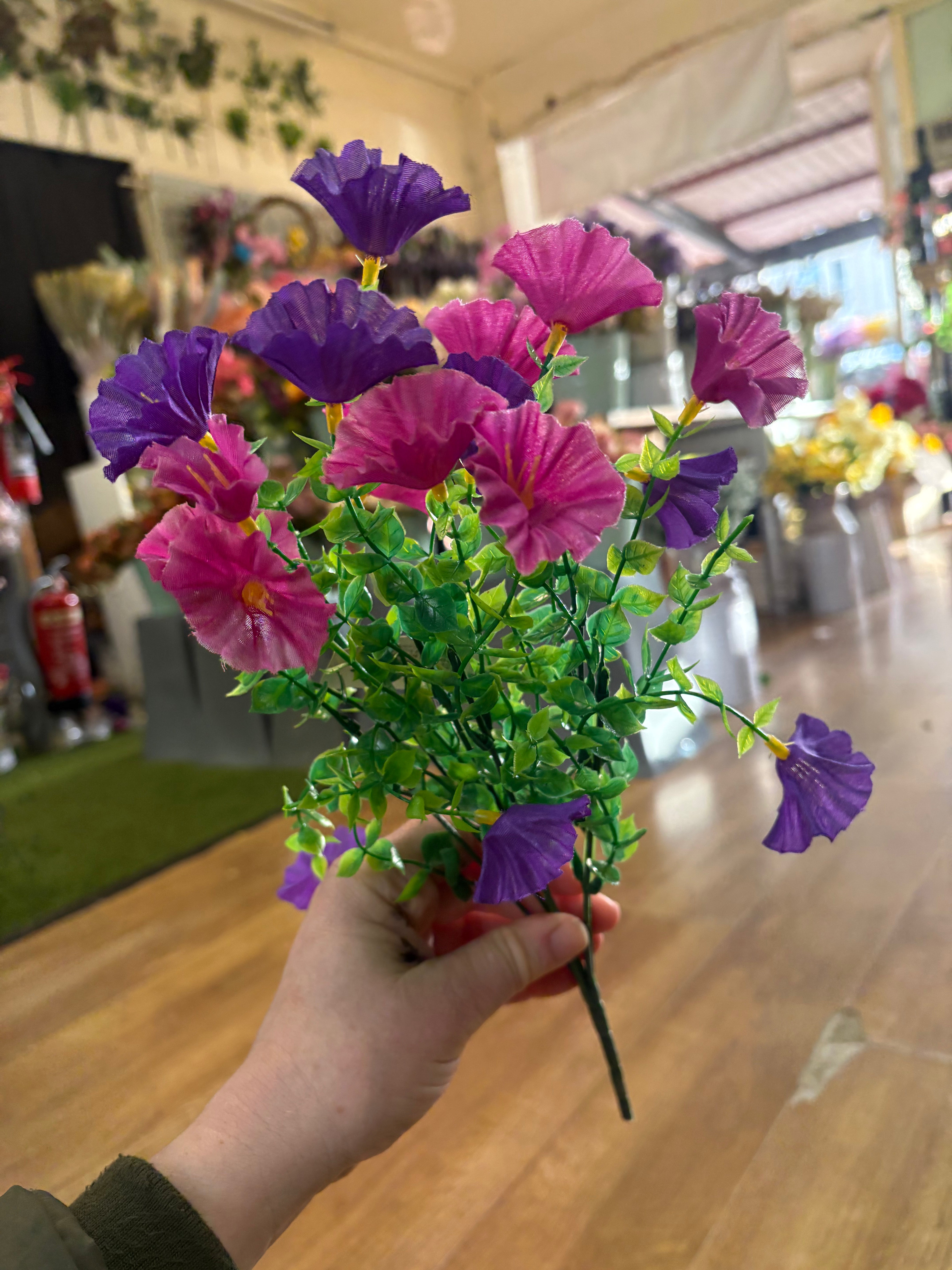 Petunia bunch - 6 colours available
