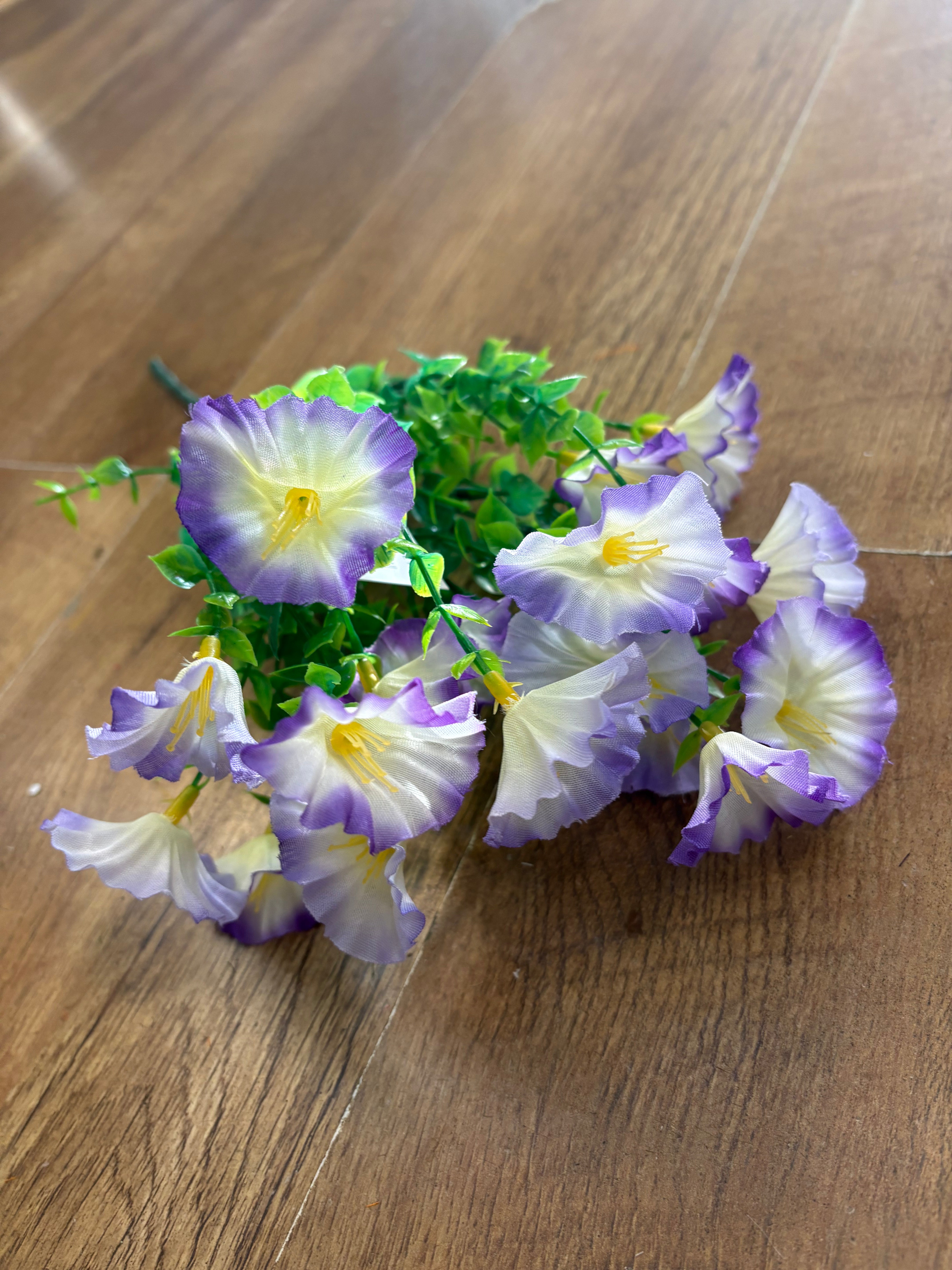 Petunia bunch - 6 colours available