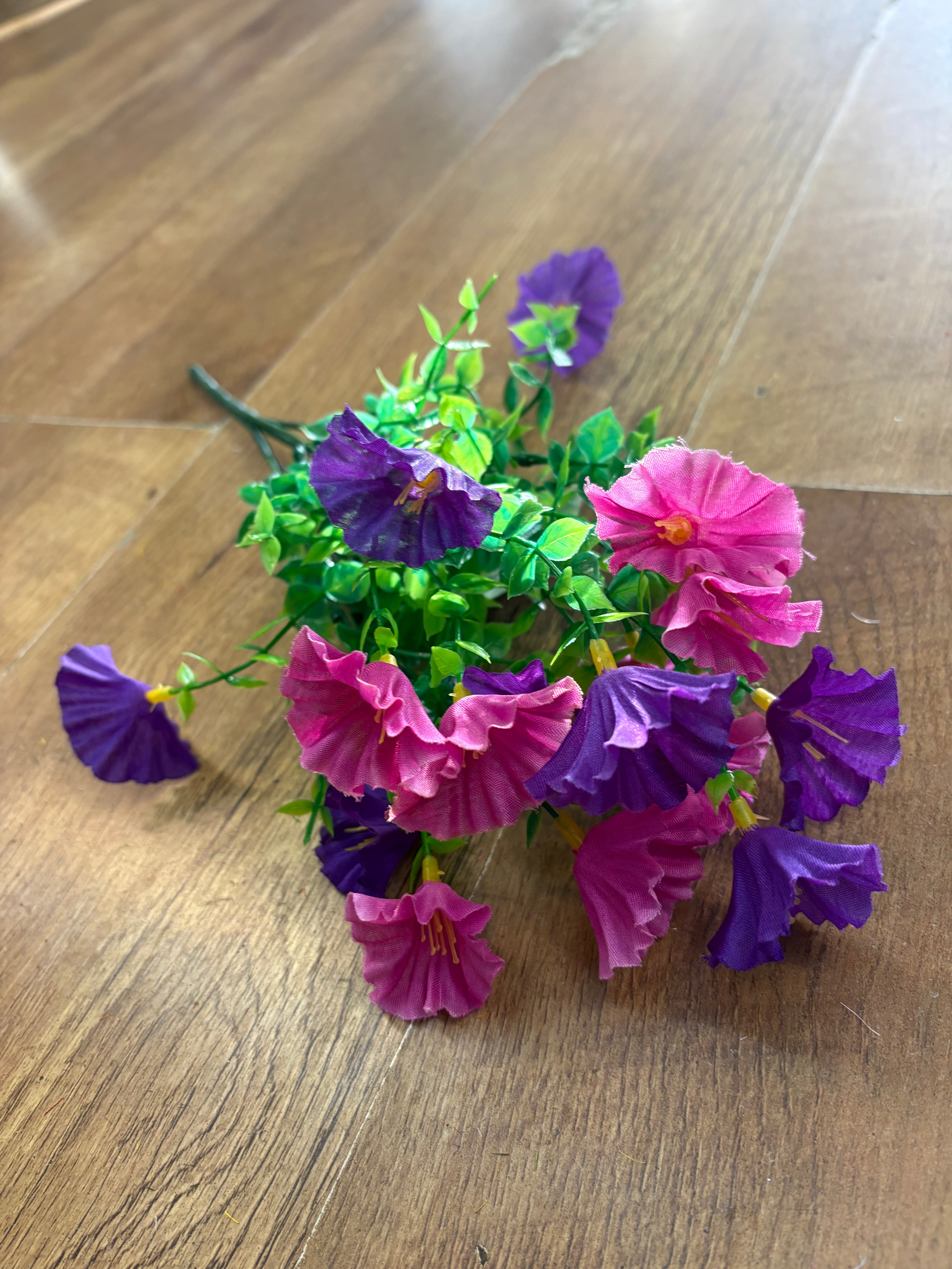 Petunia bunch - 6 colours available