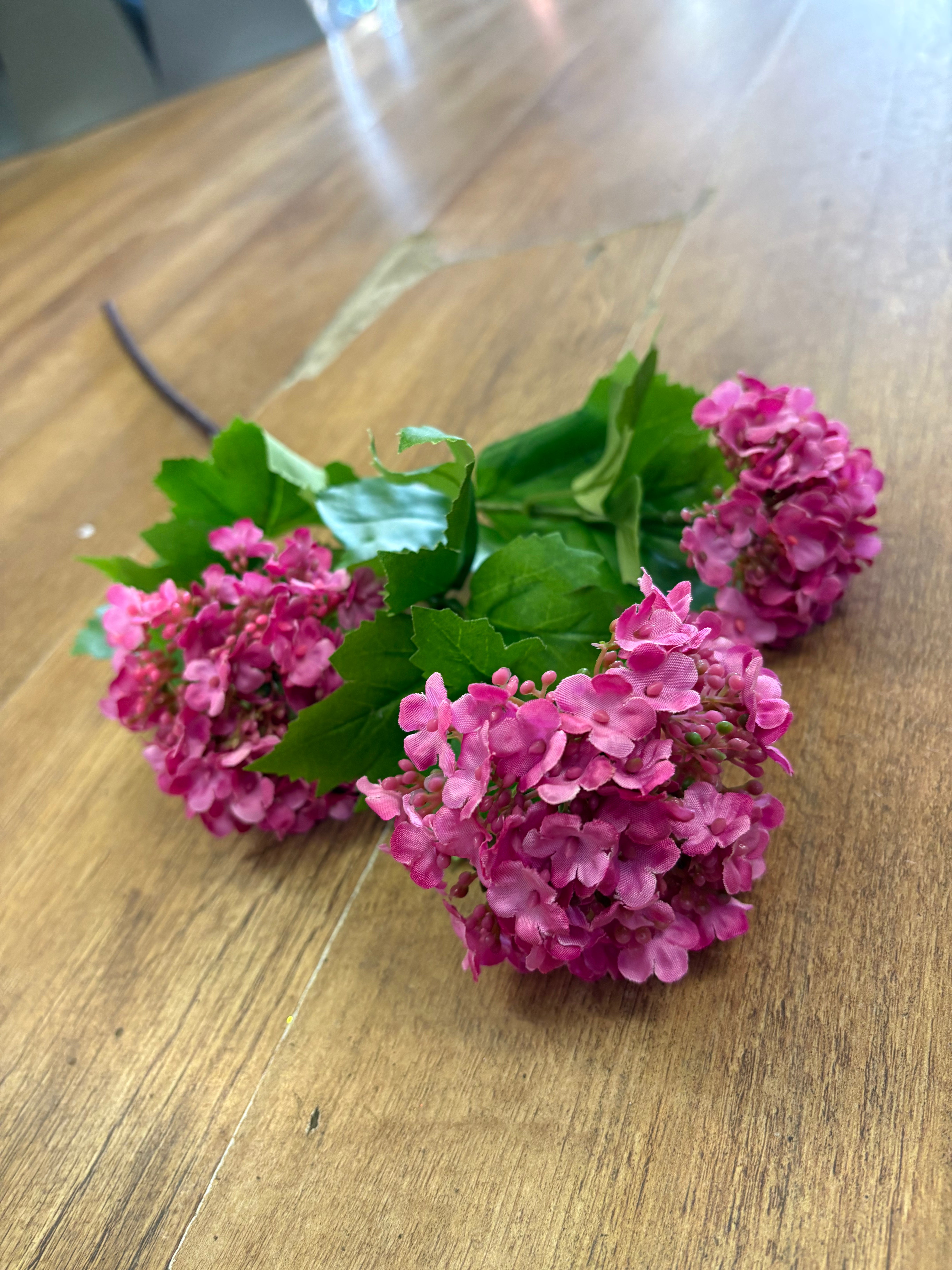 Hot pink kalanchoe geranium spray
