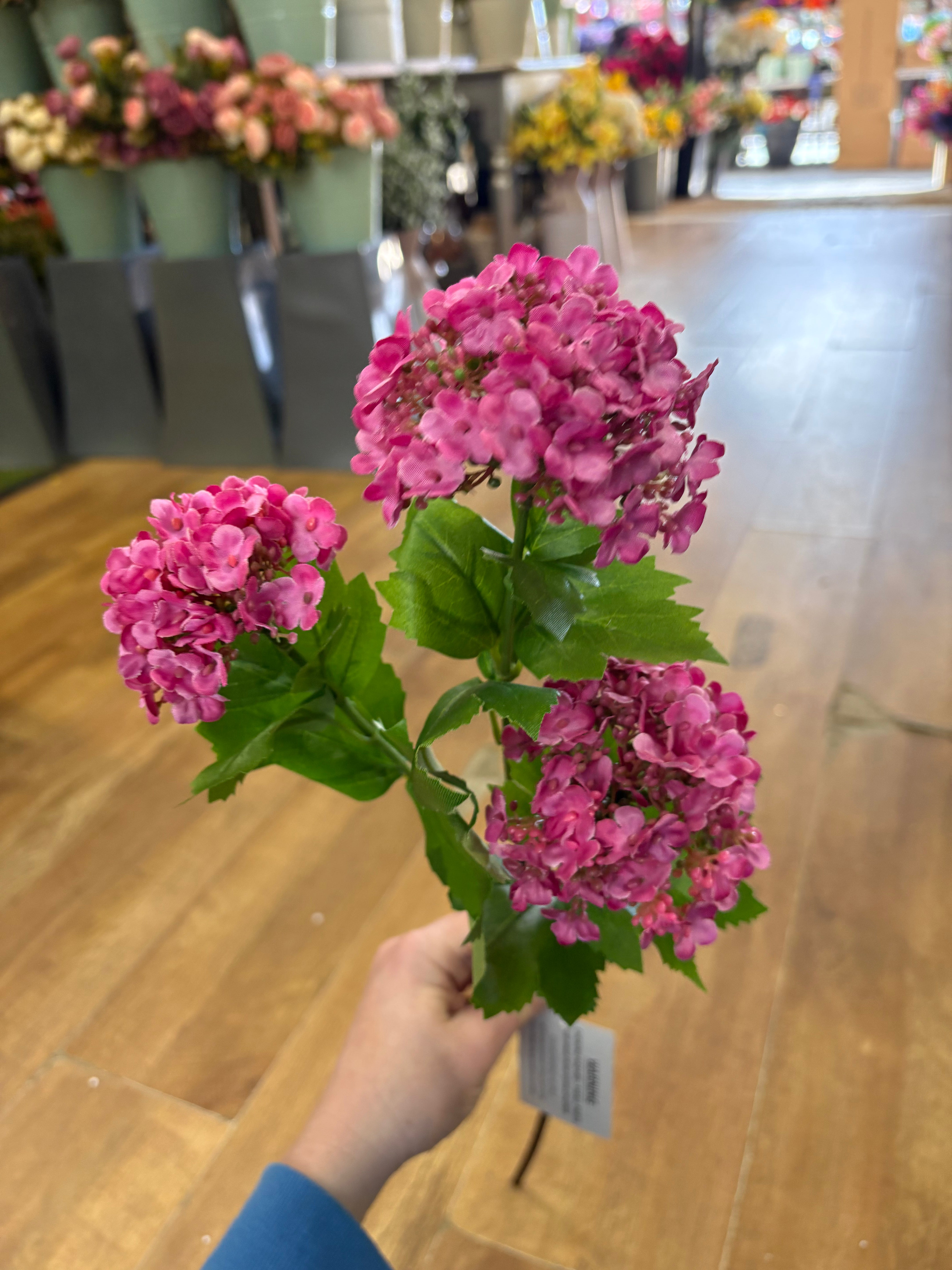 Hot pink kalanchoe geranium spray