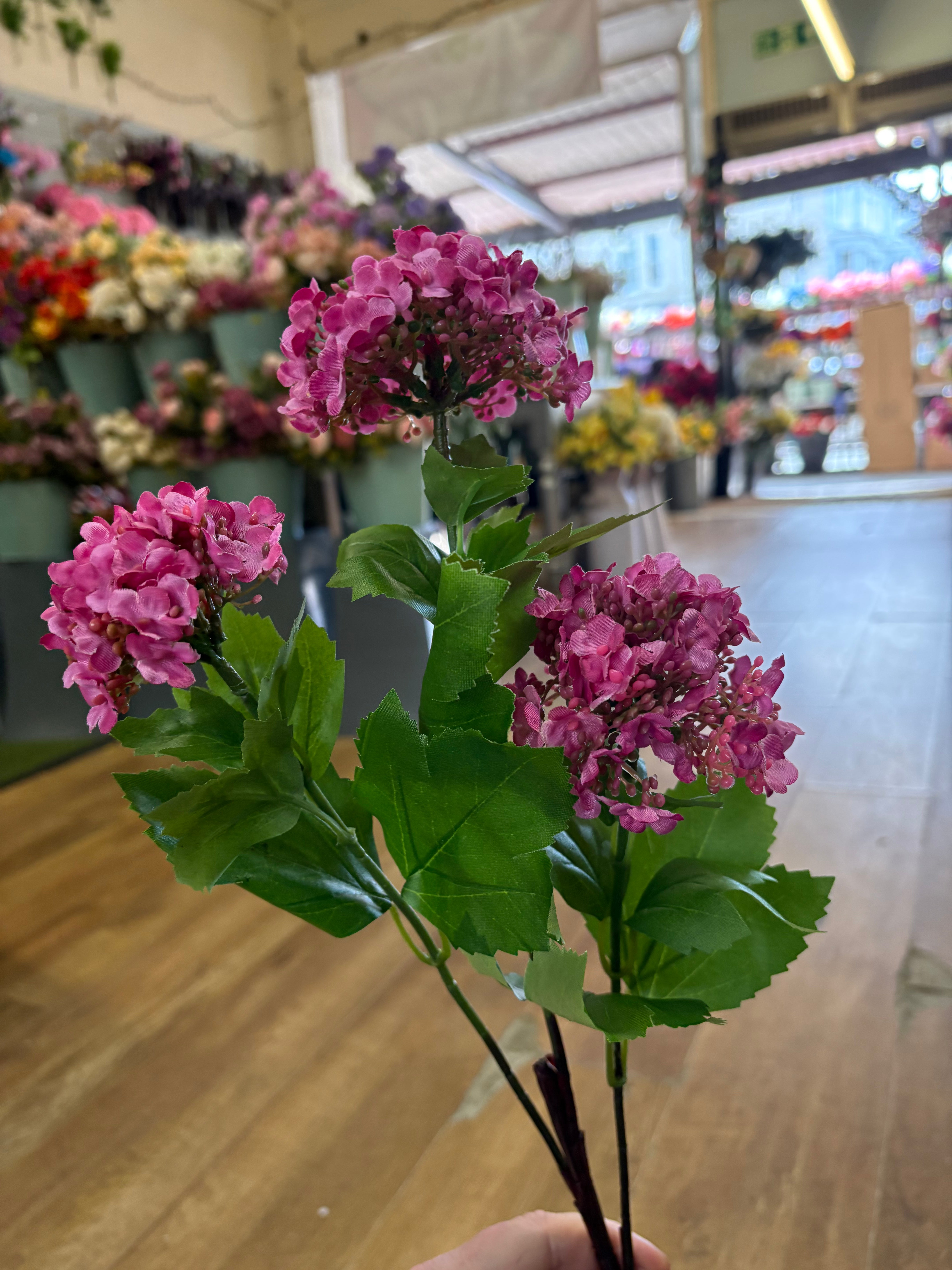 Hot pink kalanchoe geranium spray