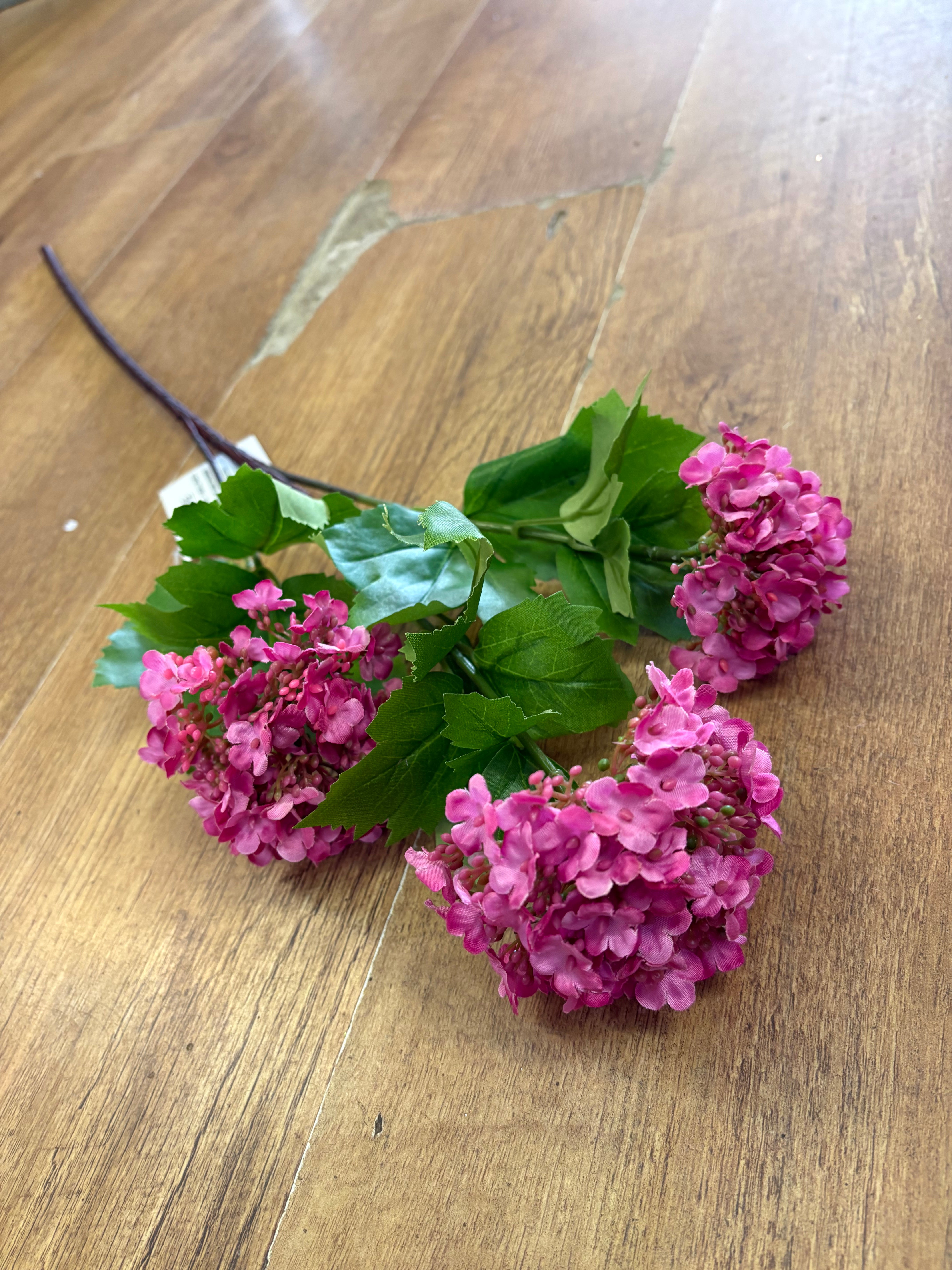 Hot pink kalanchoe geranium spray