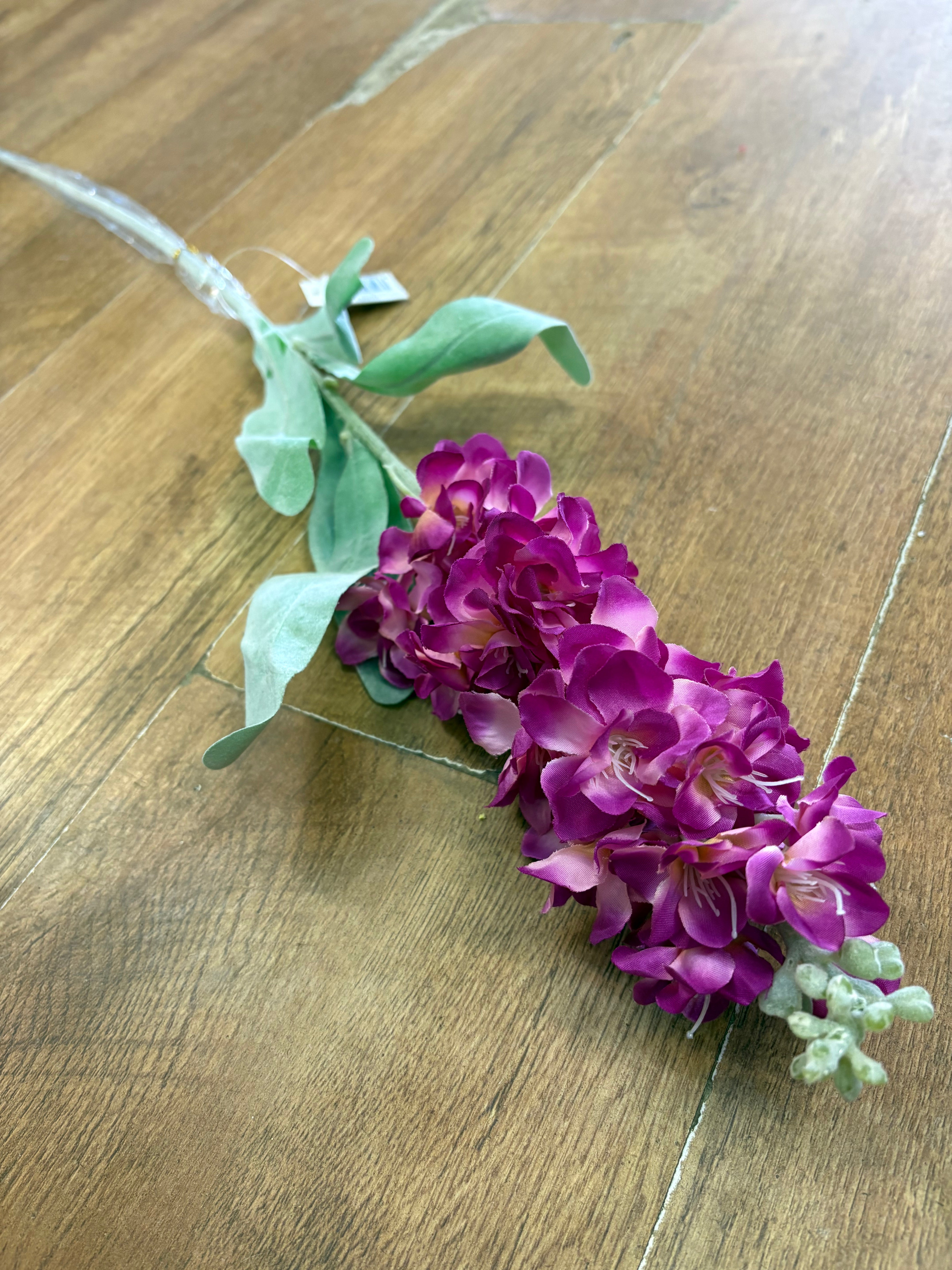 Single stem magenta stock flower