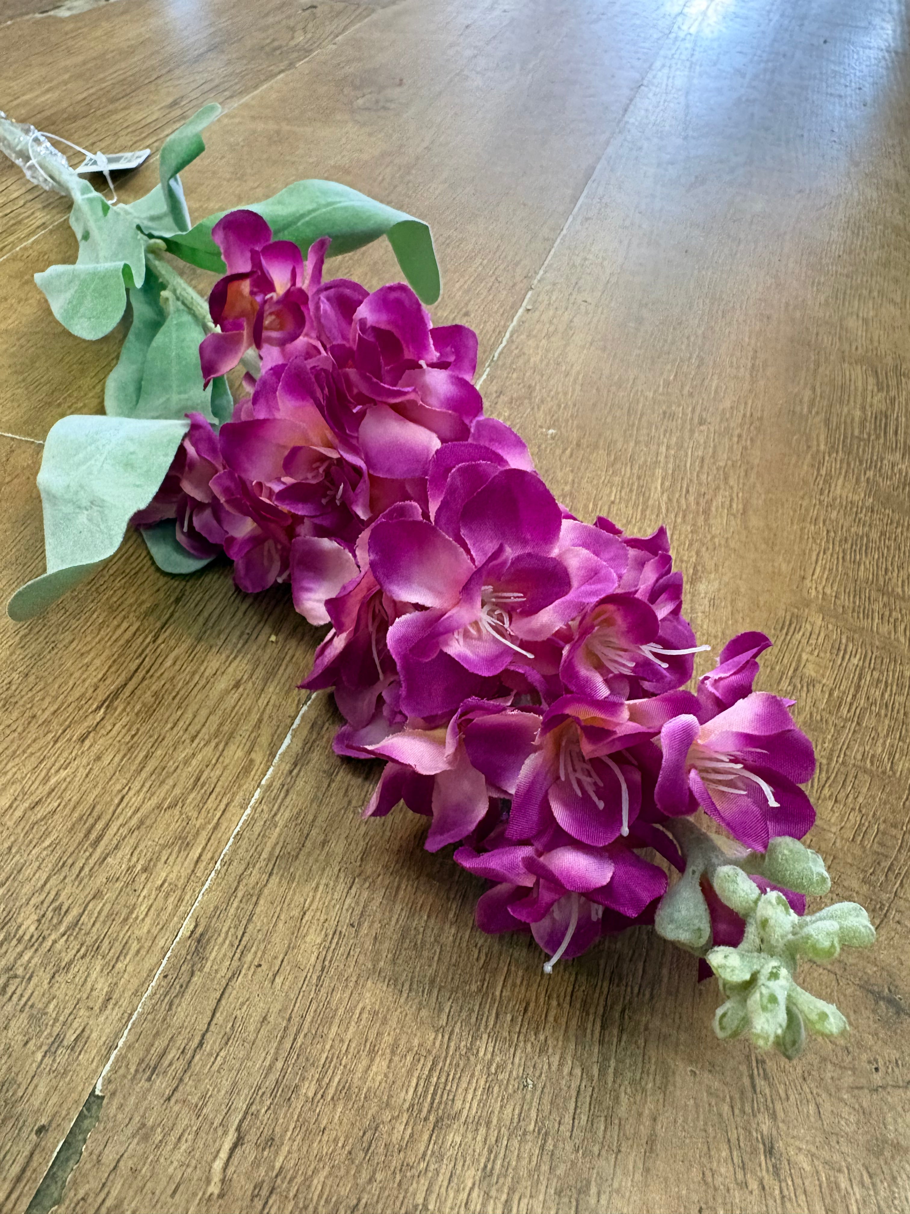 Single stem magenta stock flower