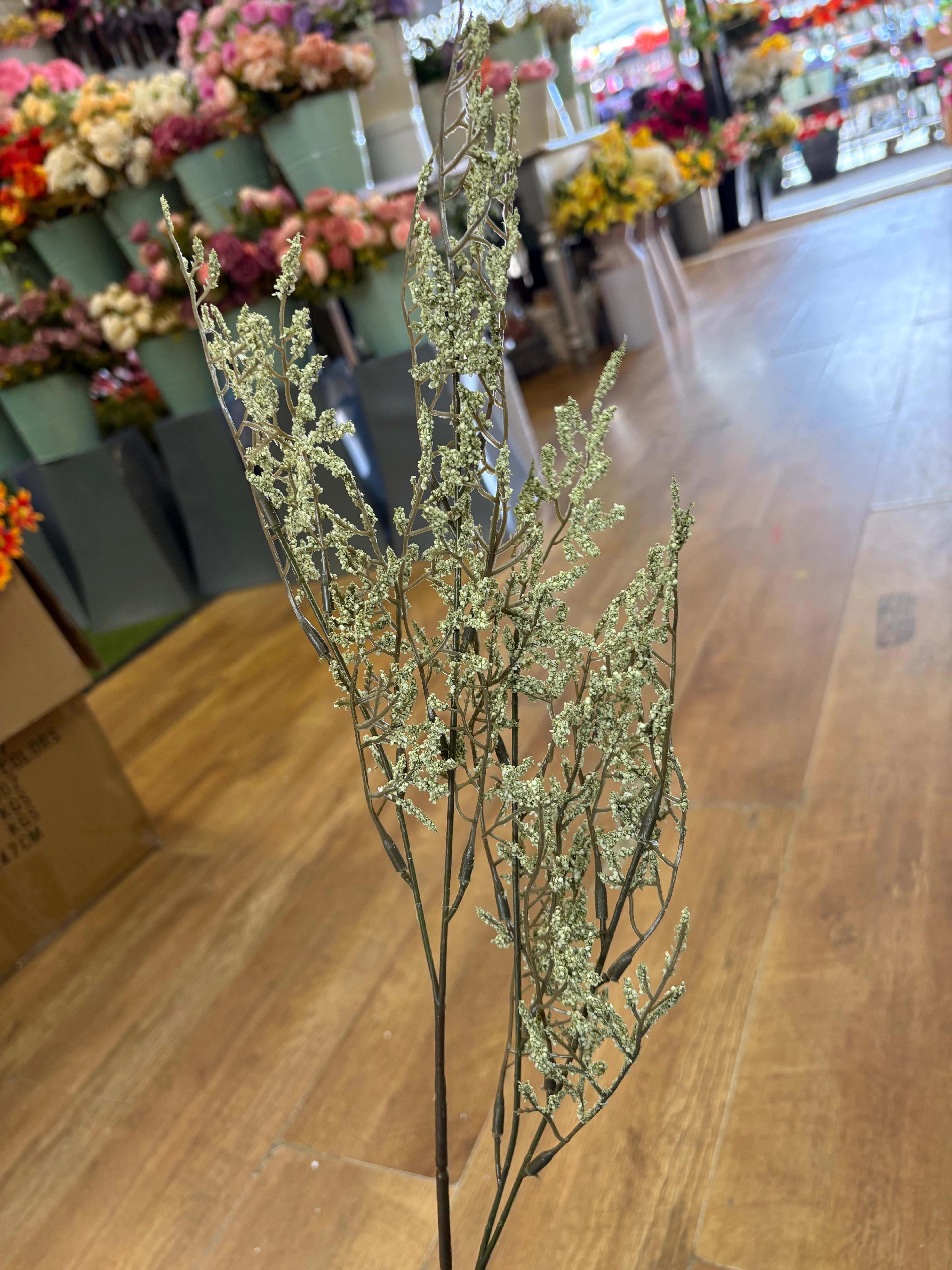 Green limonium spray