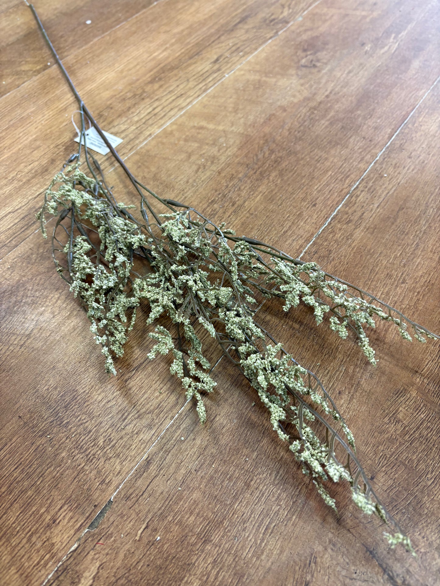 Green limonium spray