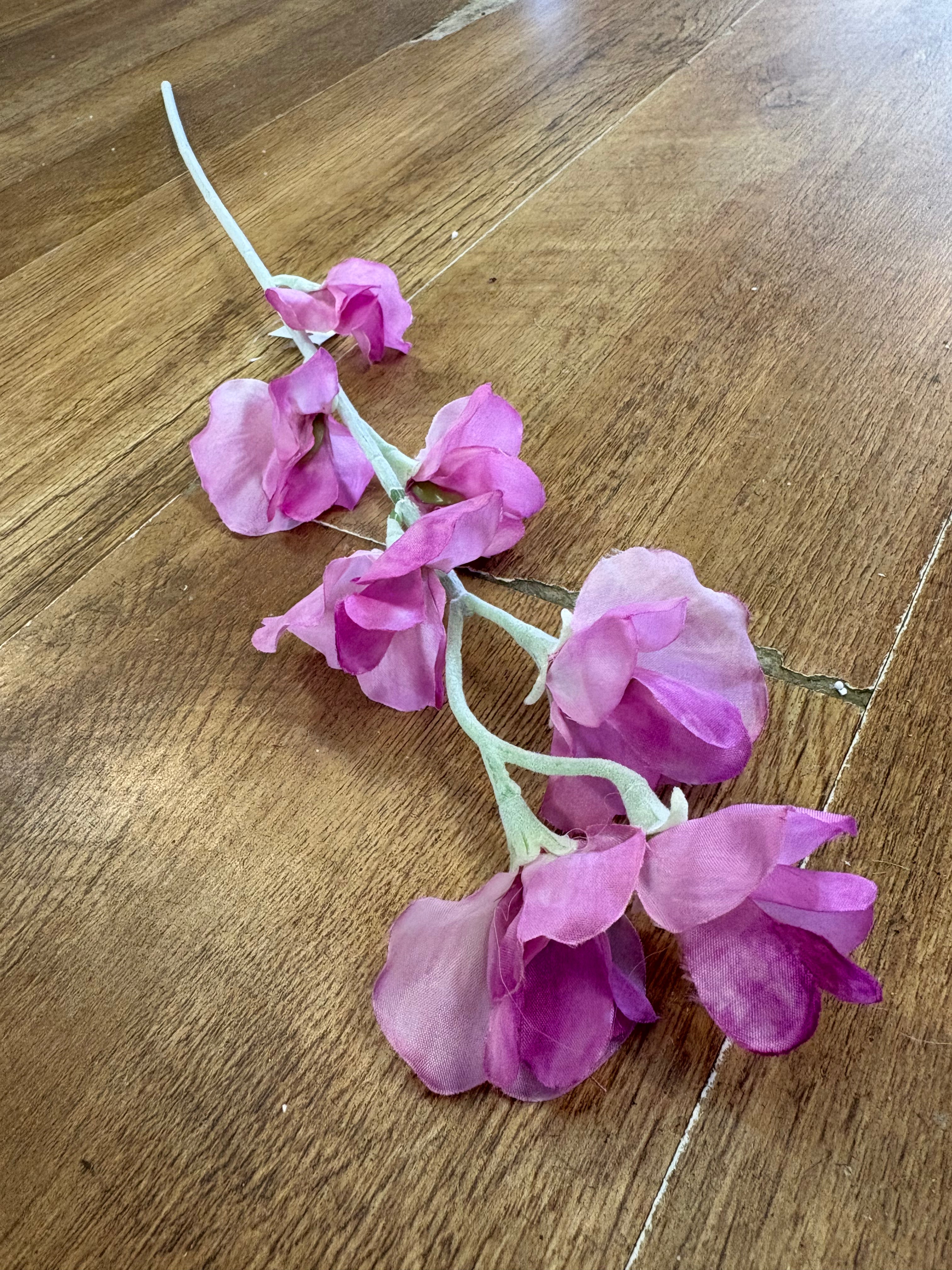 Pink sweet pea stem