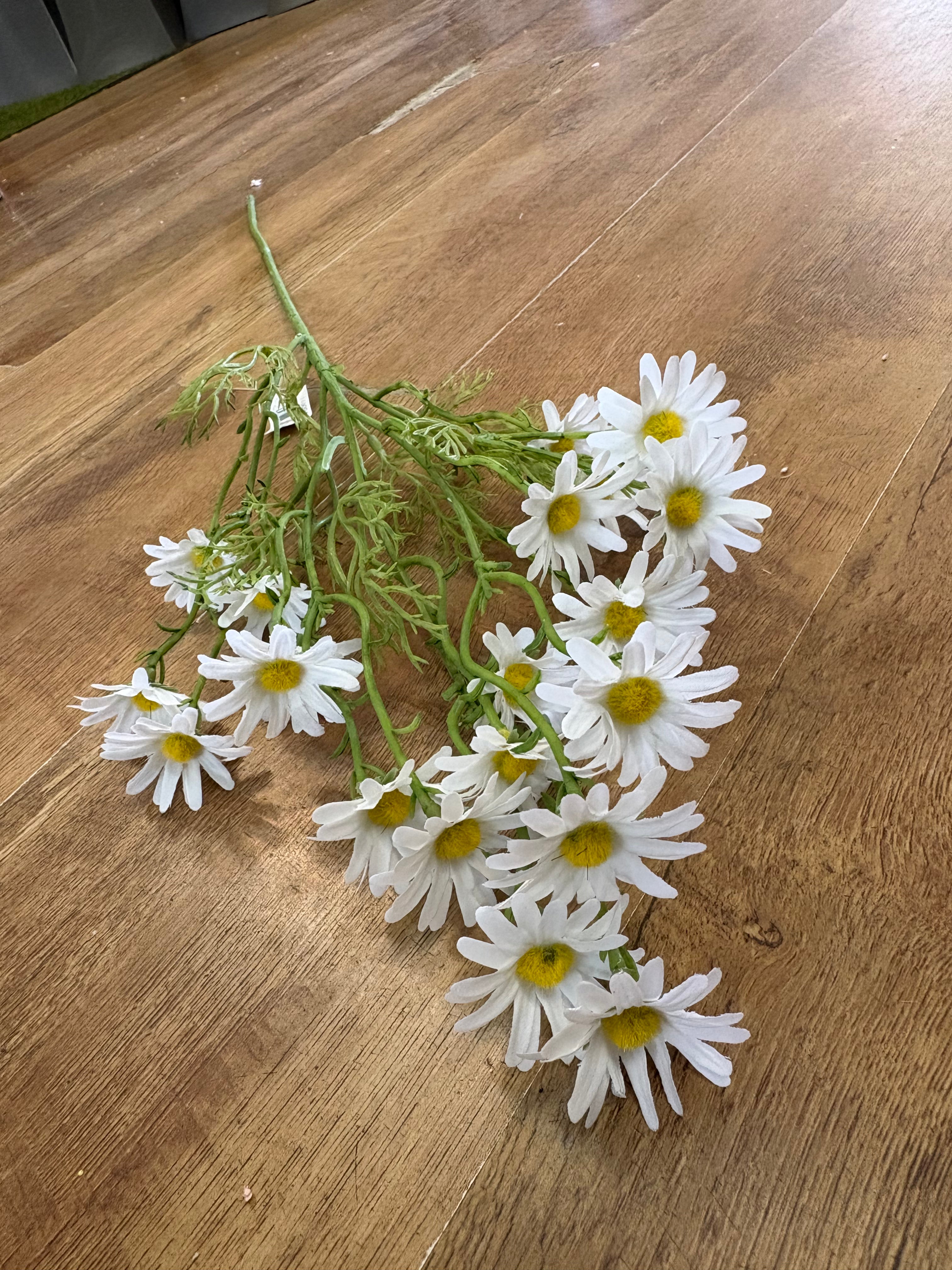 Long stem white aster daisy spray