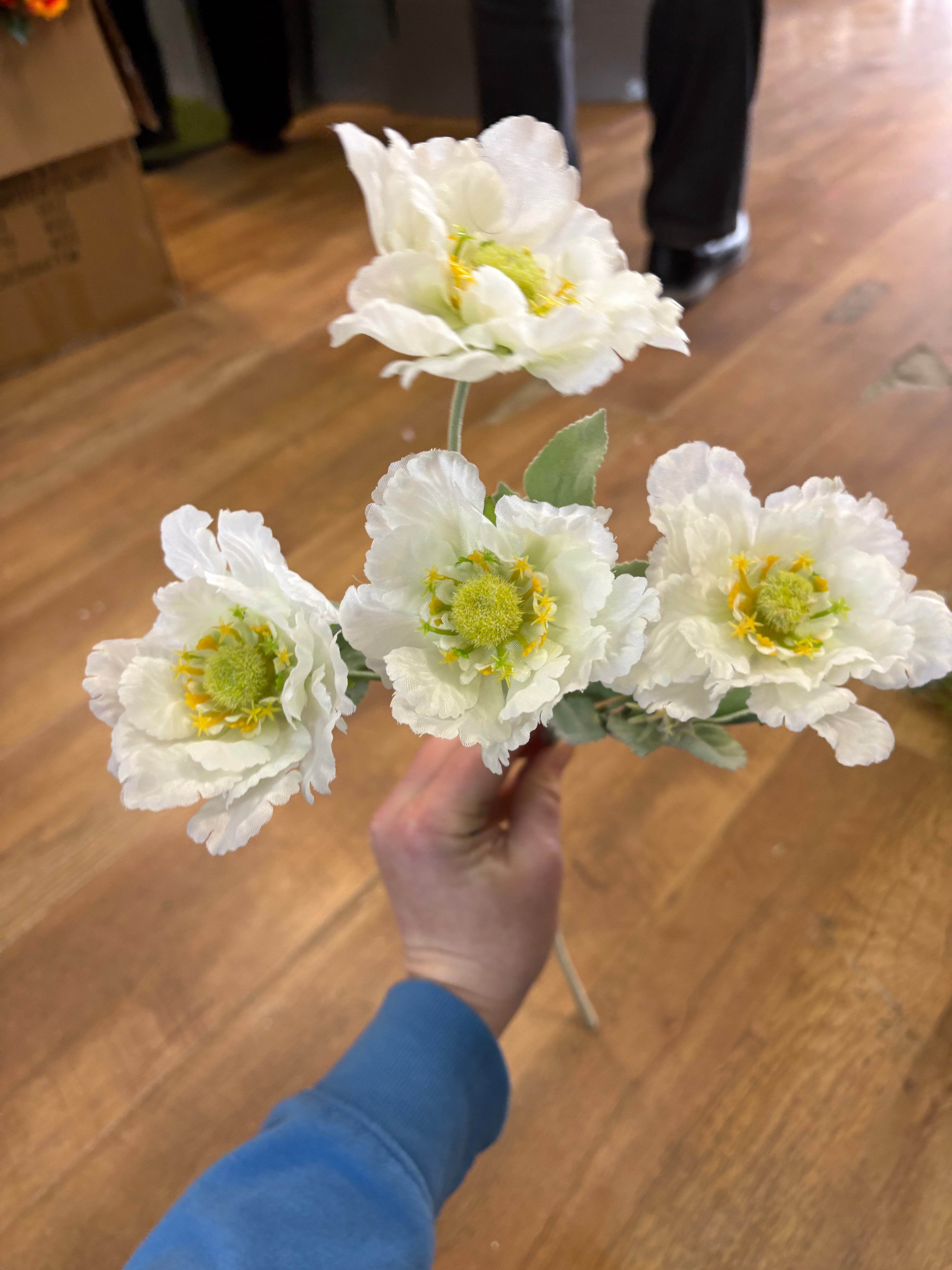 Long stem cream frilly scabiosa spray