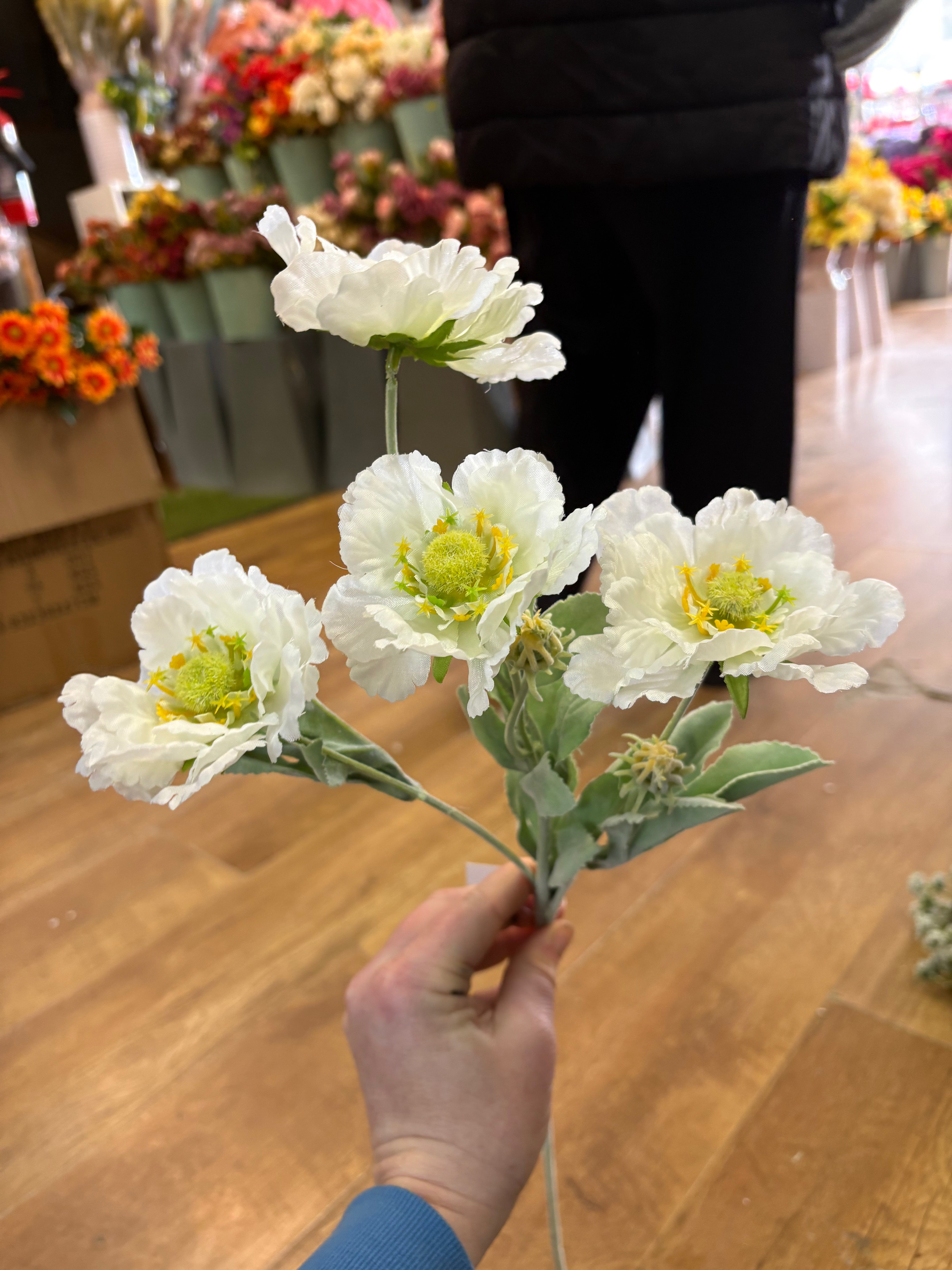 Long stem cream frilly scabiosa spray