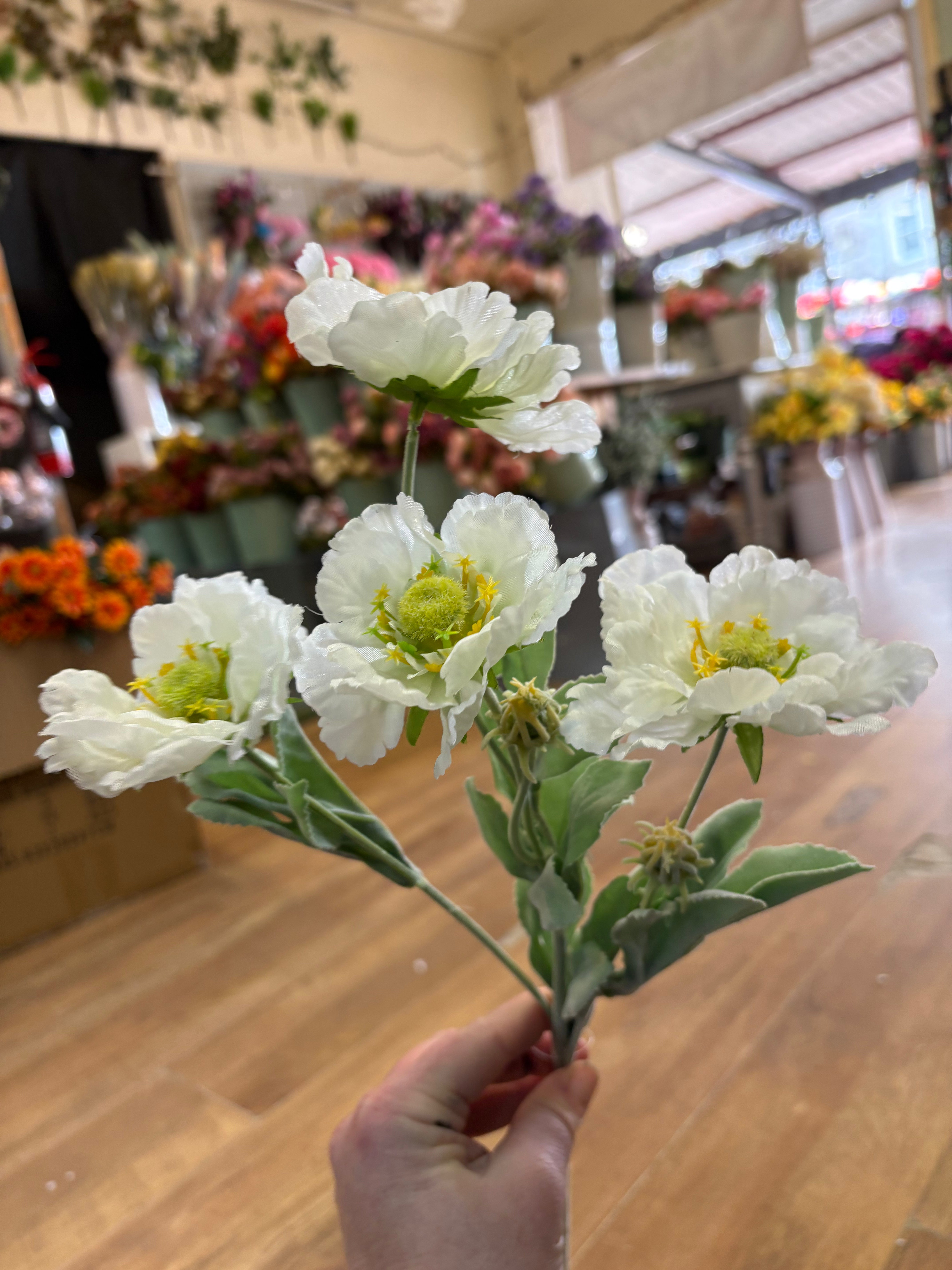 Long stem cream frilly scabiosa spray