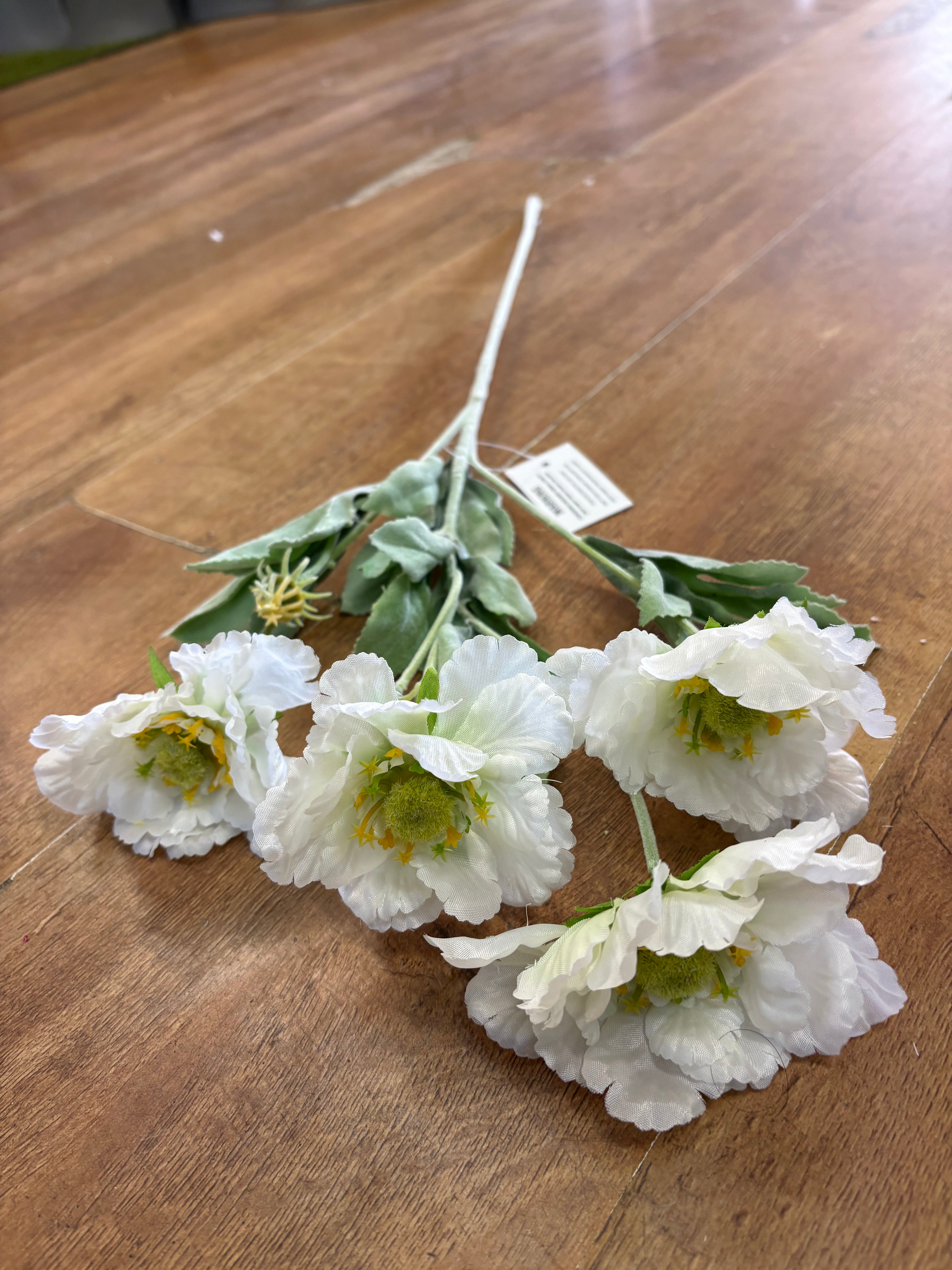 Long stem cream frilly scabiosa spray