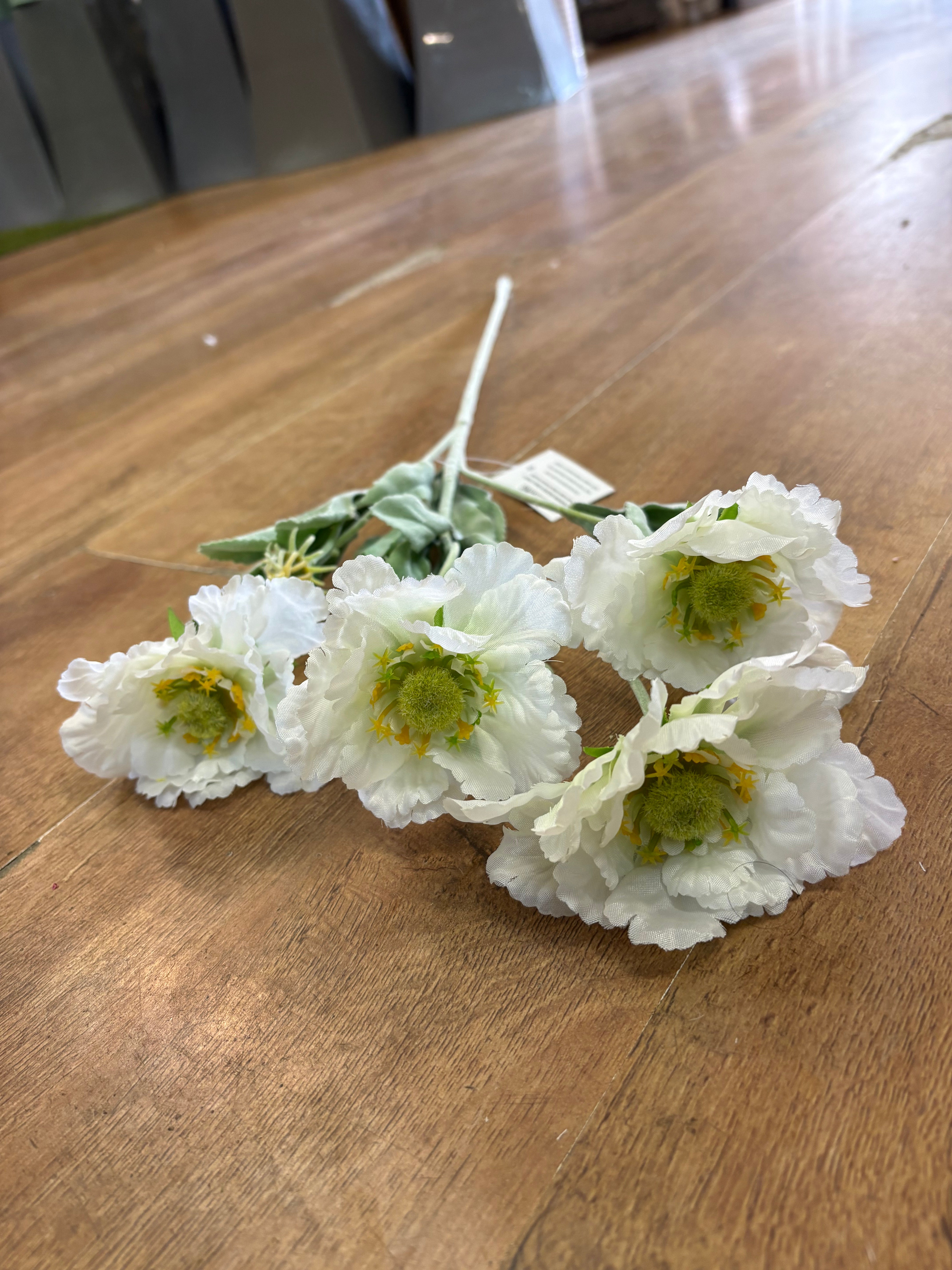 Long stem cream frilly scabiosa spray