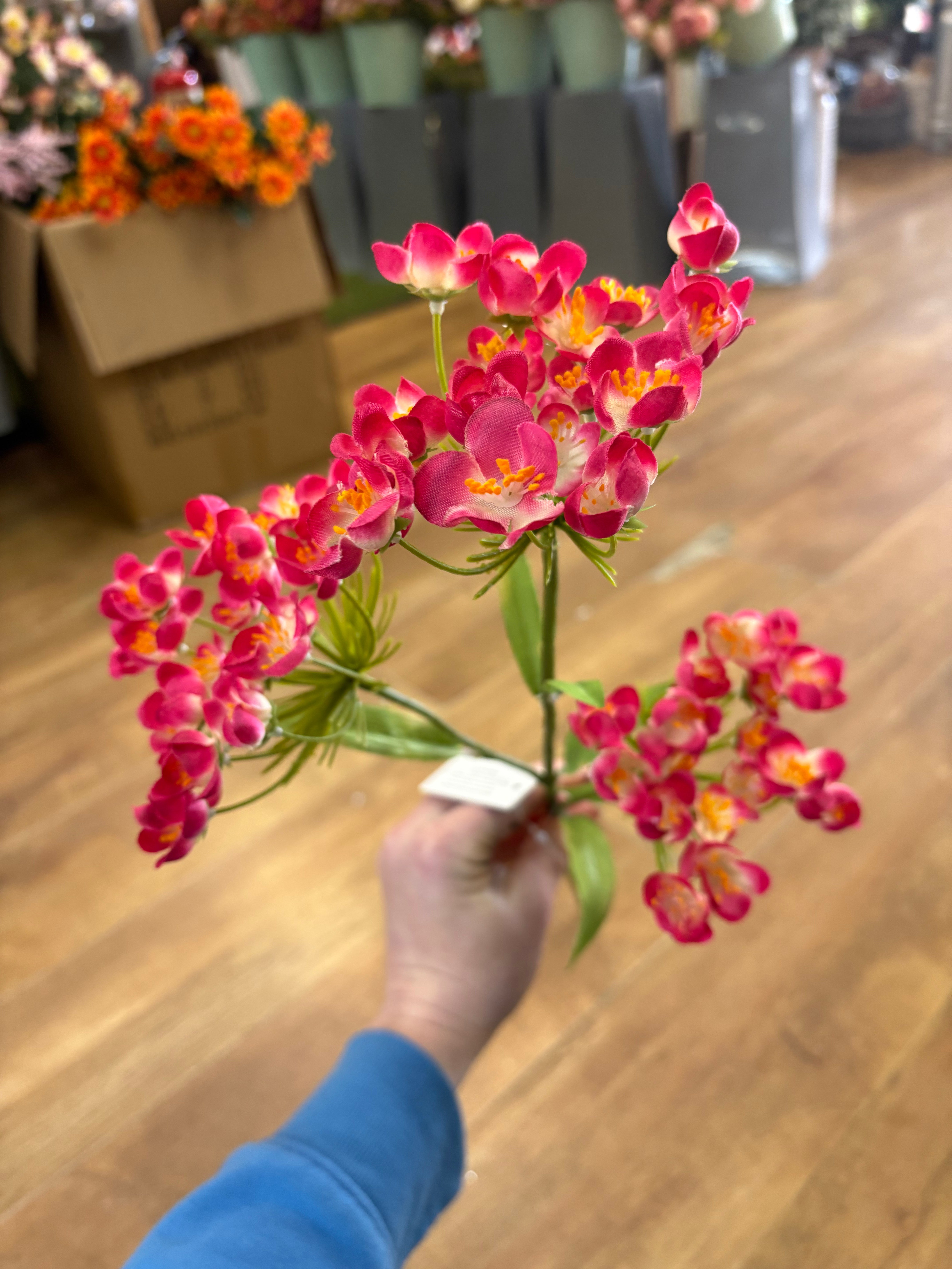 Long stem hot pink fairybell allium spray
