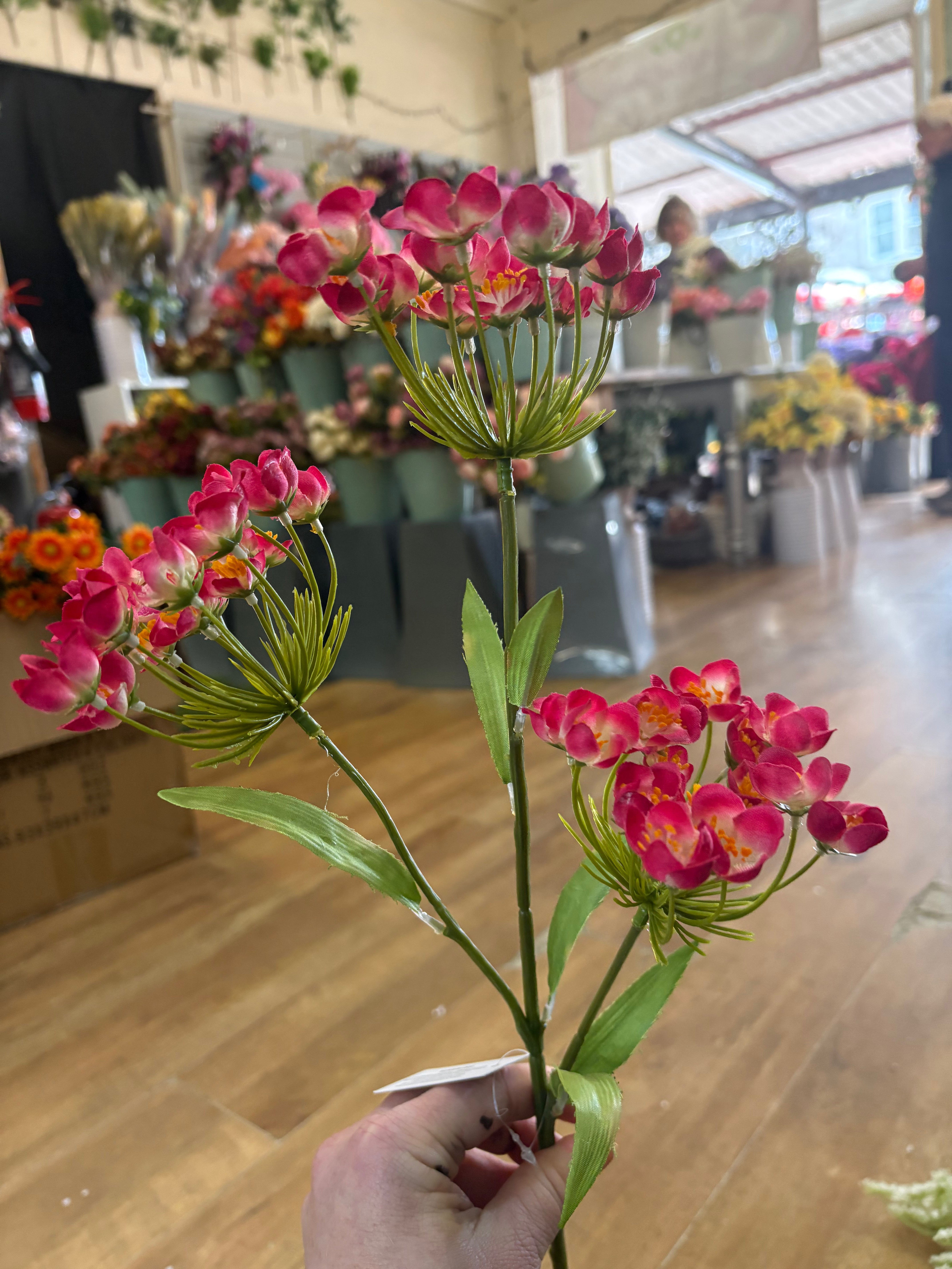 Long stem hot pink fairybell allium spray