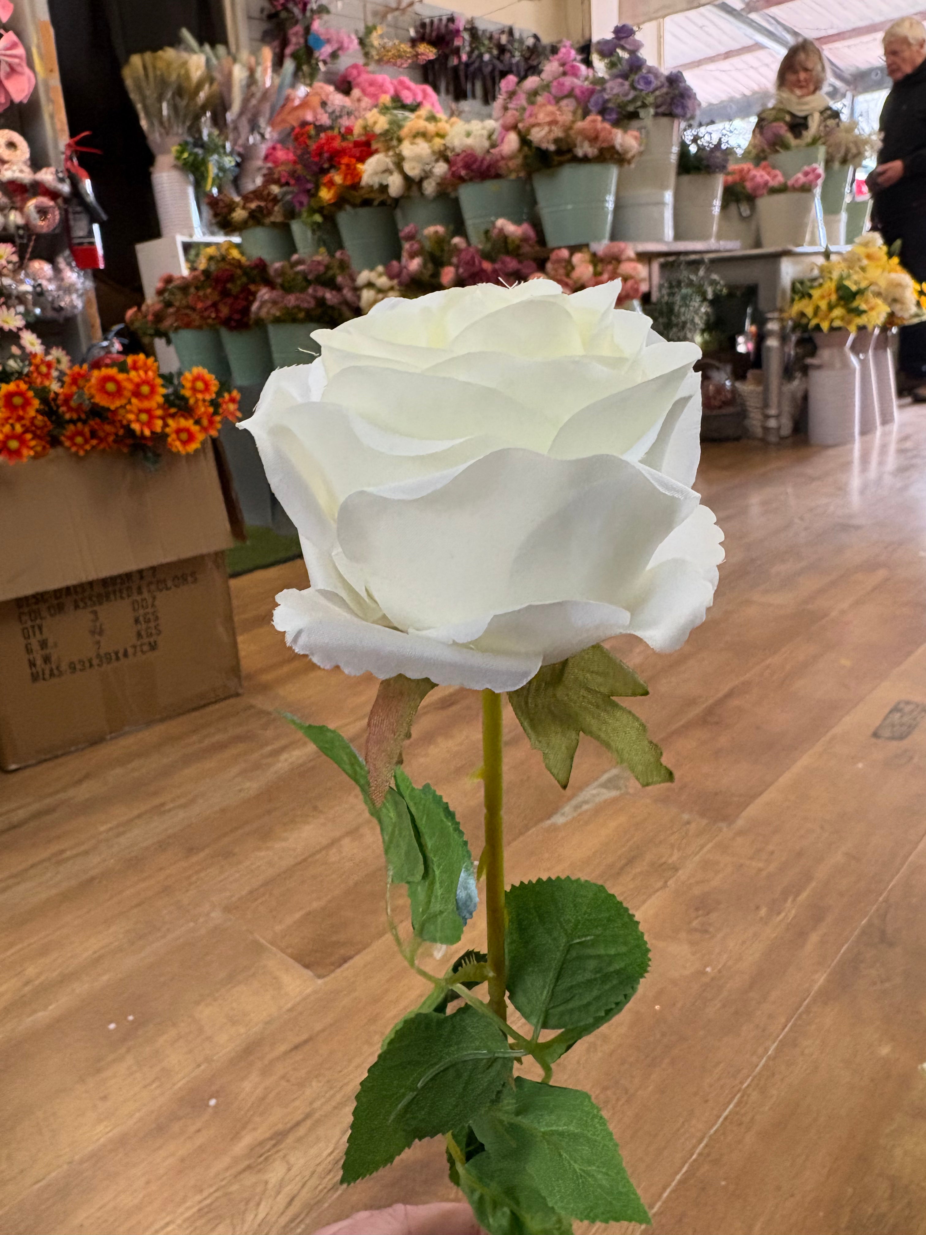 Long stem Ivory harper rose