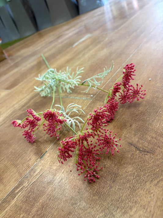 Hot pink queen Anne’s lace spray