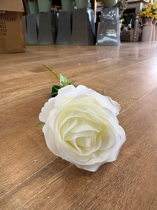 Long stem Ivory harper rose